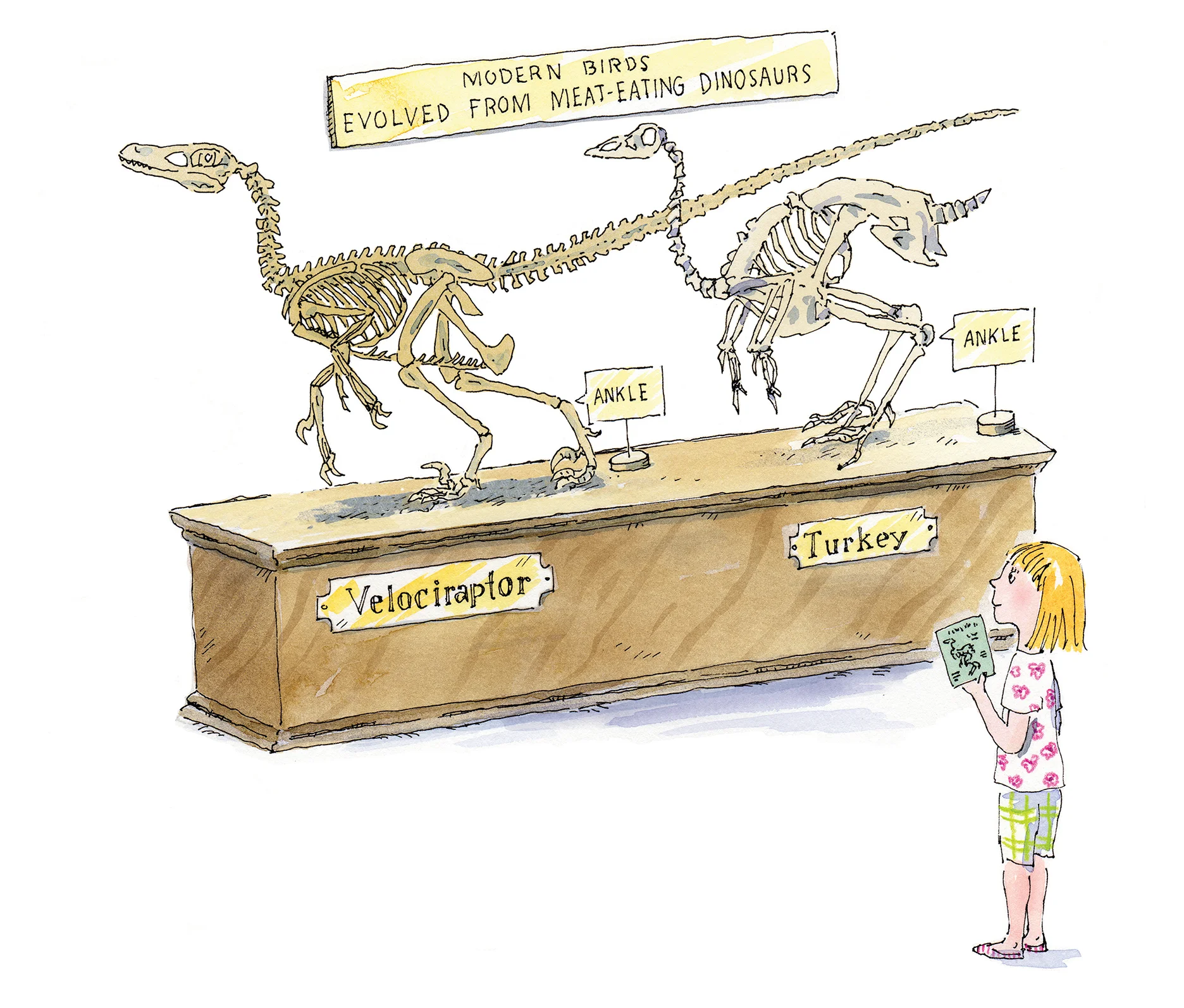 square.click.dino.jpg