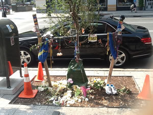 boston001
