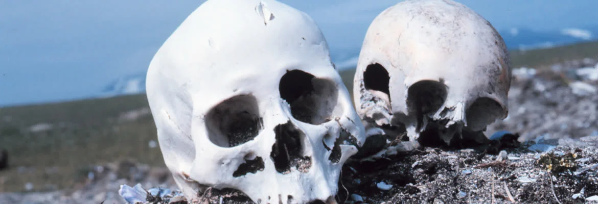 Why-All-The-Interest-In-Forensics.jpg