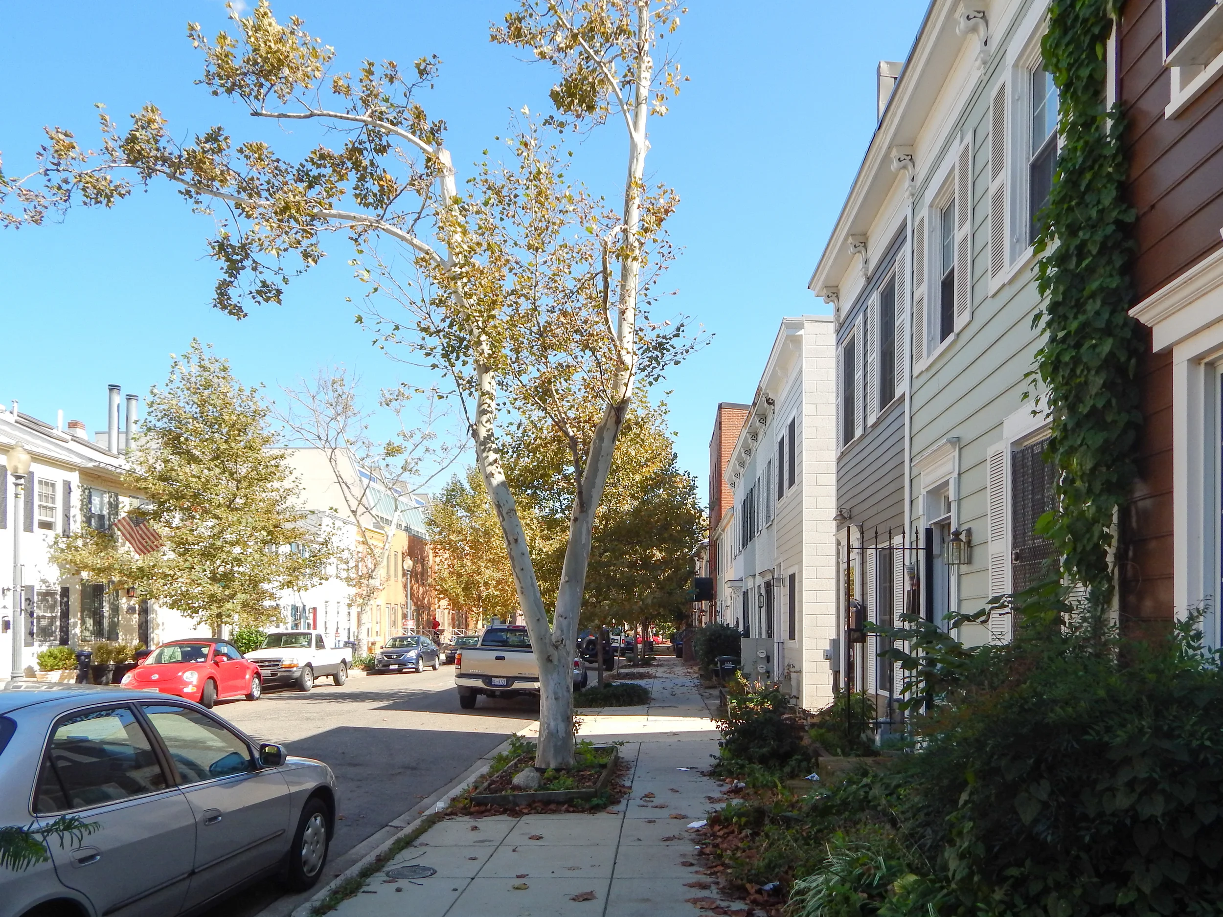2014.10.22_MITCHELL_web-2.jpg