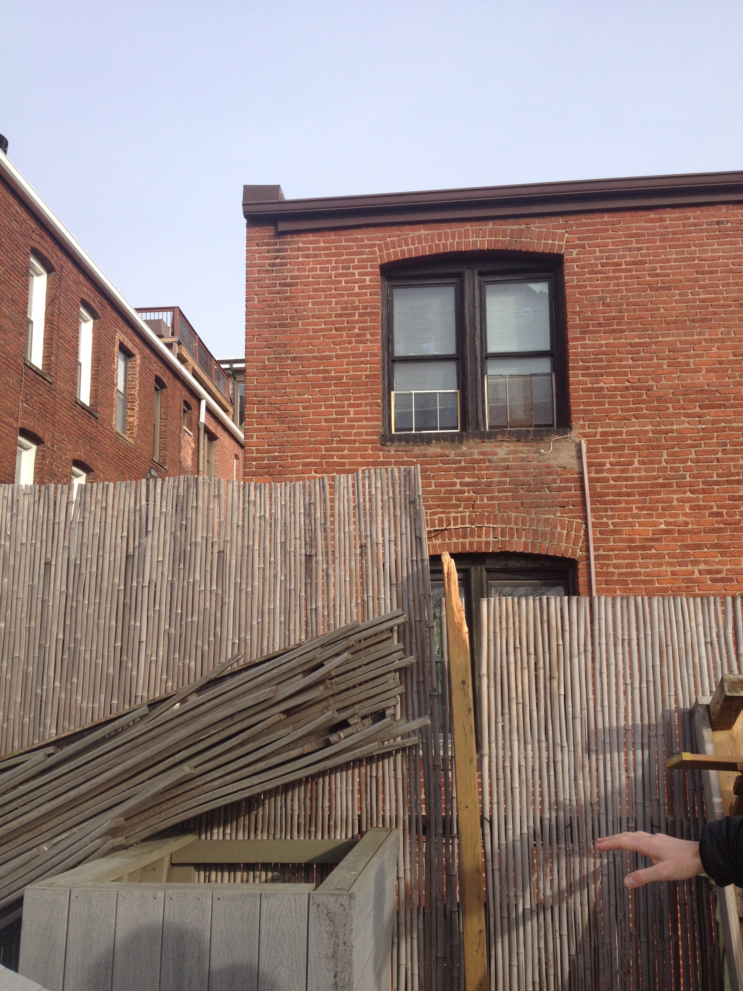  The rear wall of the previous roofdeck, with bamboo privacy screening. 