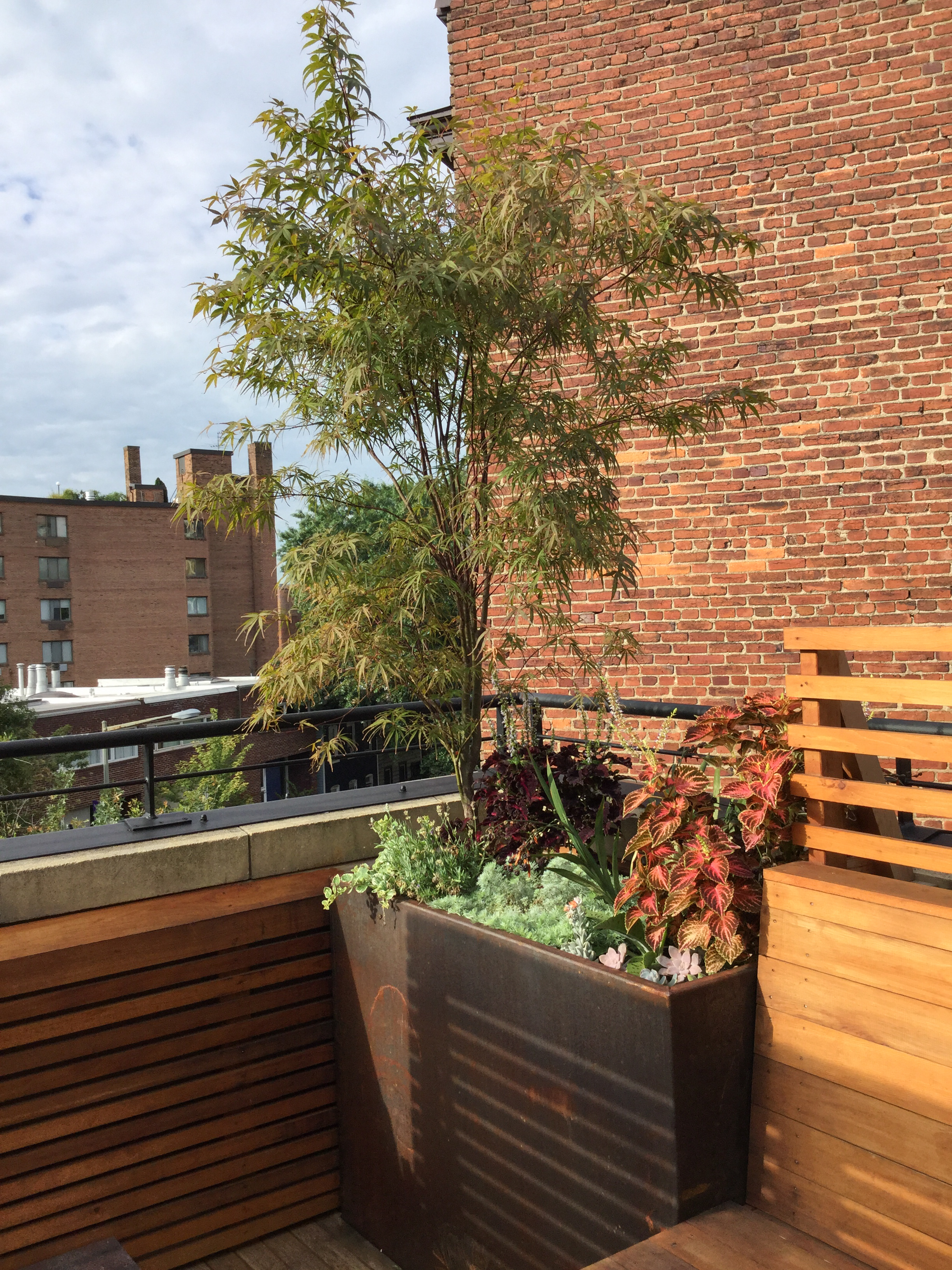 2015.09.09_TYE_web-6.jpg