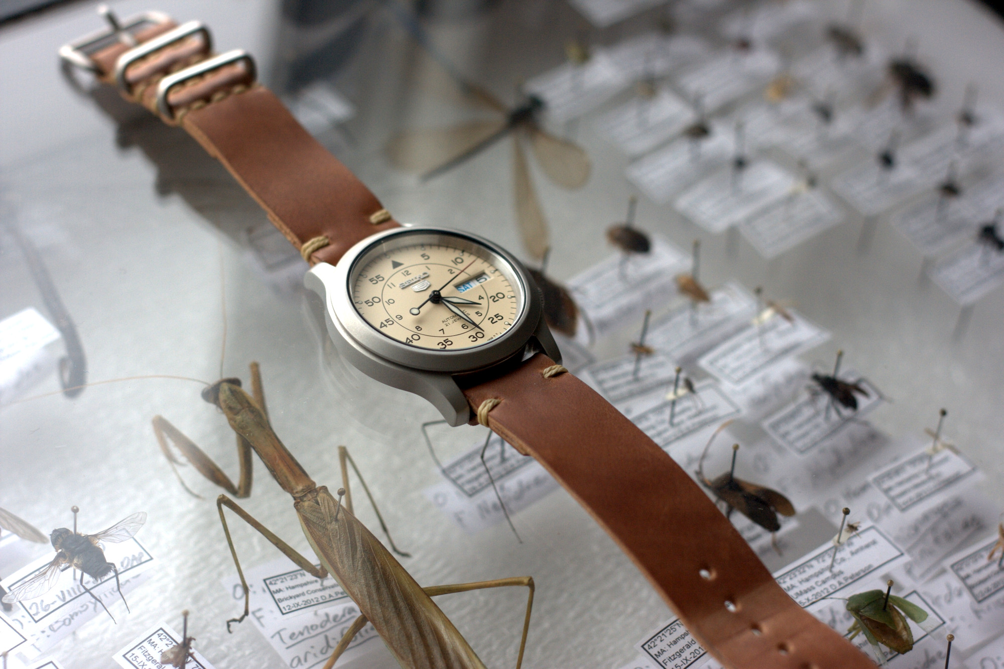 A fantastic Seiko 5 that gets taken into the field. Natural shell tack-stitched at the lugs.