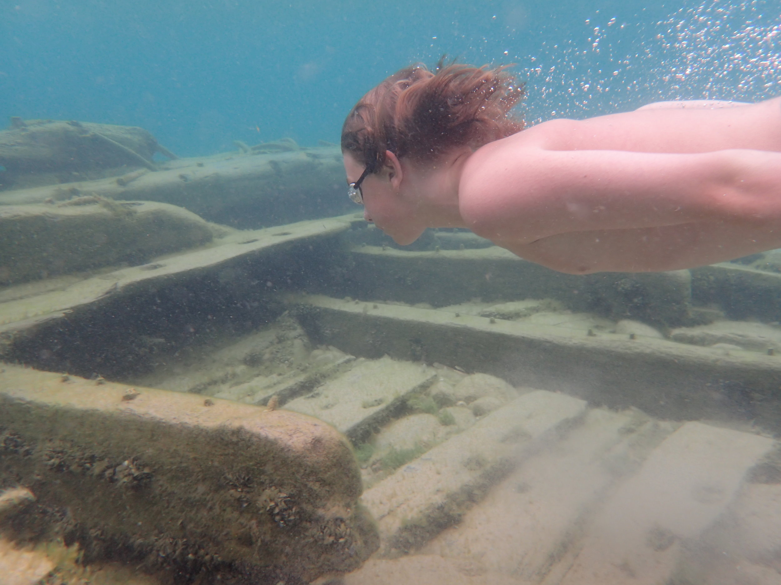 Cruising over the wreckage, watching little minnows dart about. 