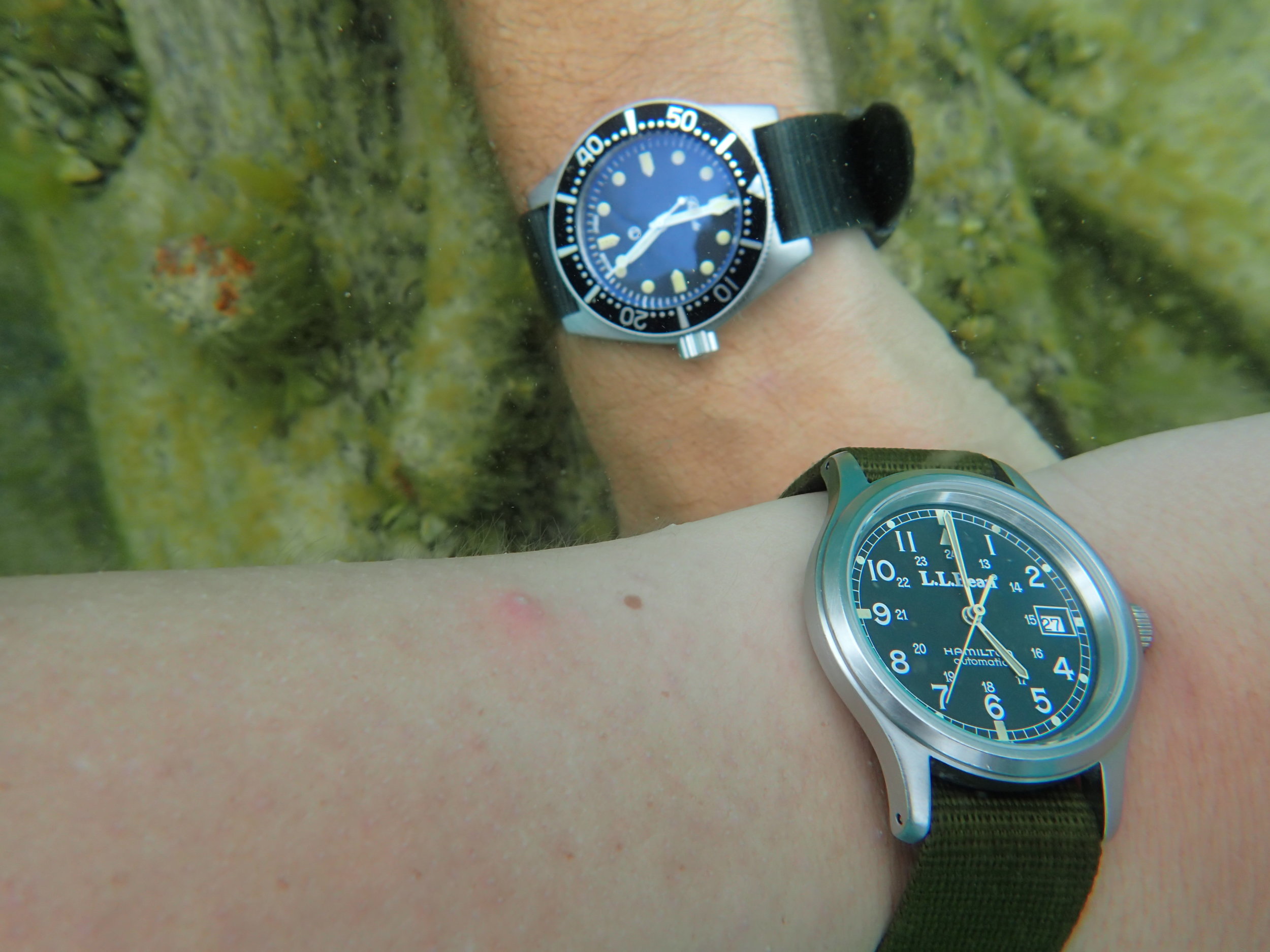 My expedition partner wears his Hamilton 9721, modified with flat sapphire crystal and large crown. 