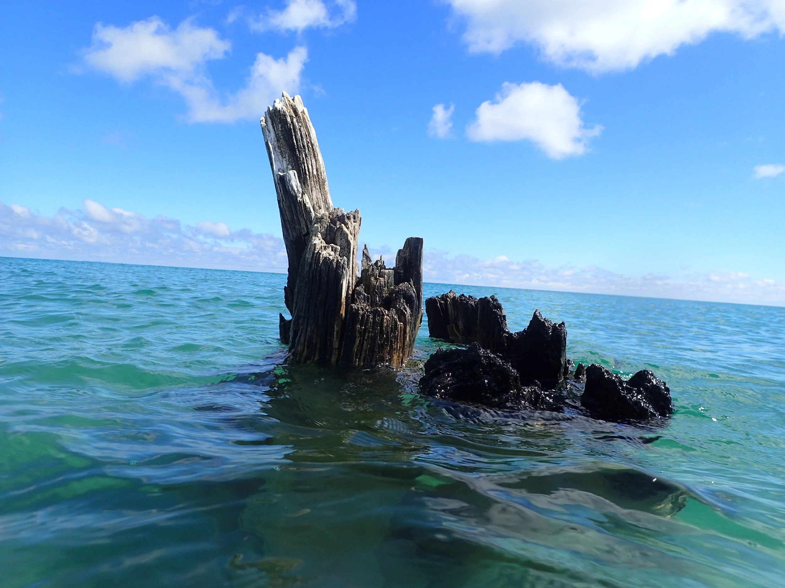 The footings of an abandoned pier still stick up above the surface. 