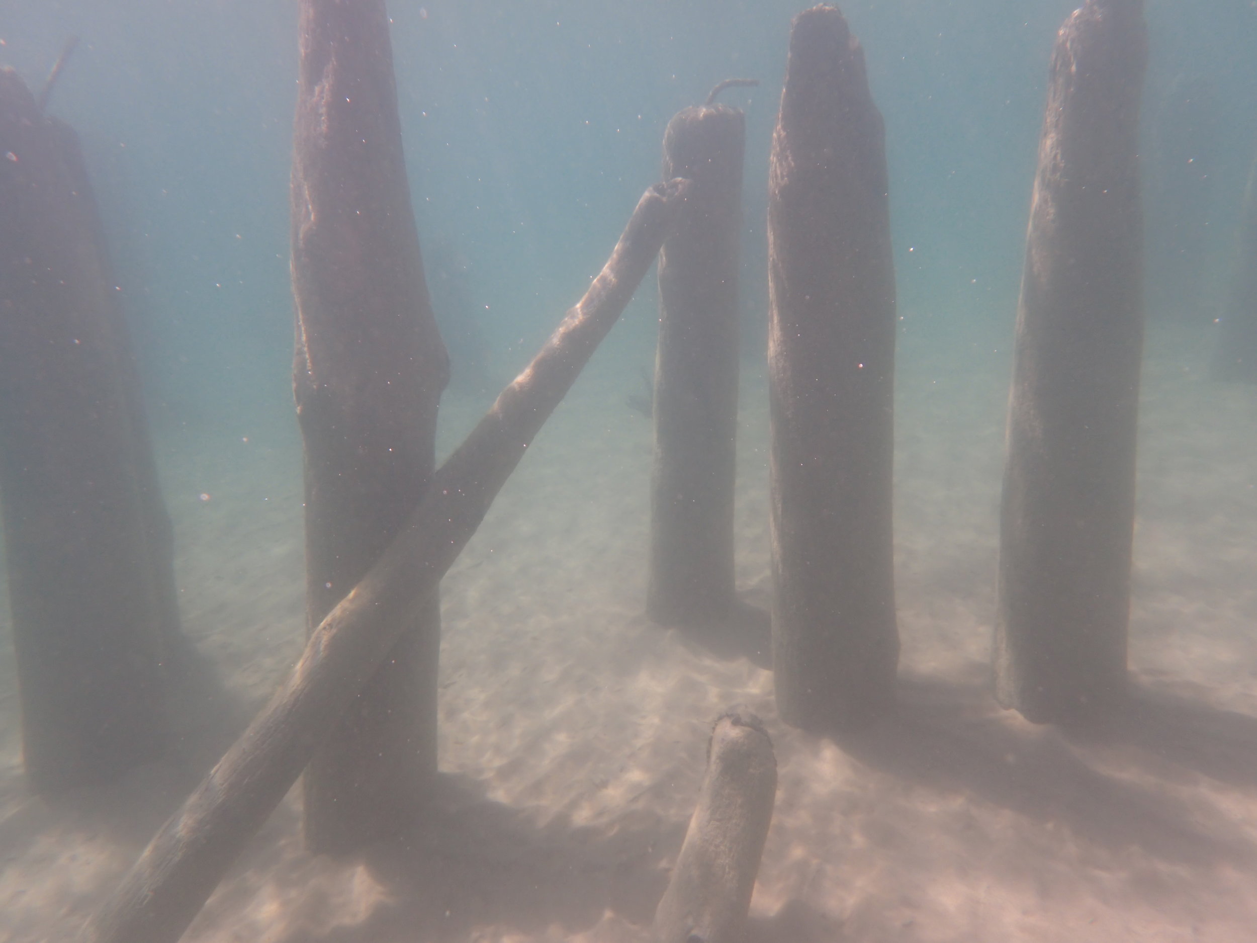 And below the surface they are sunk deep into the lake bottom. 