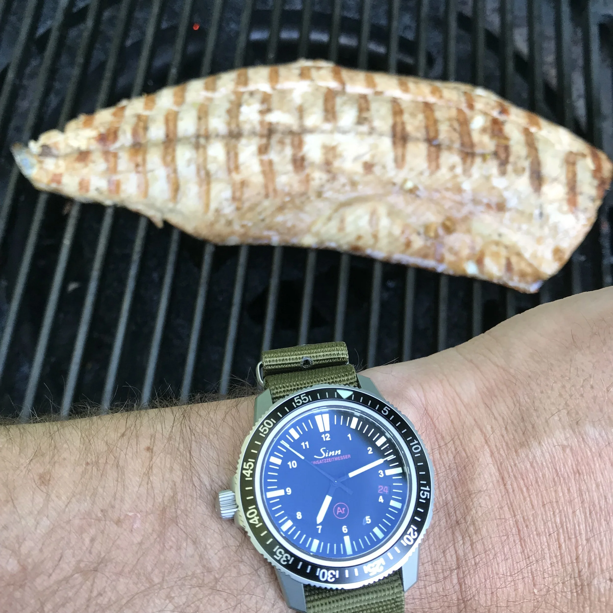 Sinn EZM 3 Fishes Lake Michigan! — Rover Haven Straps
