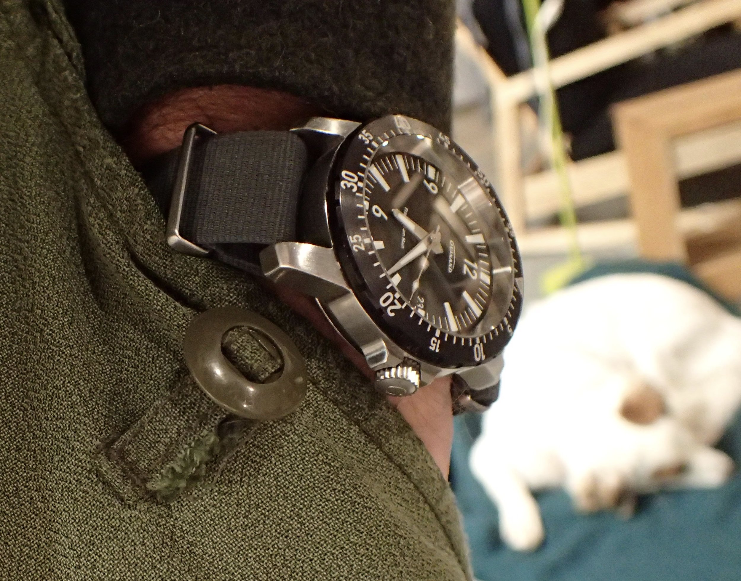 Like a good Collie mongrel, the AS Flieger will seep into the corners of your life.