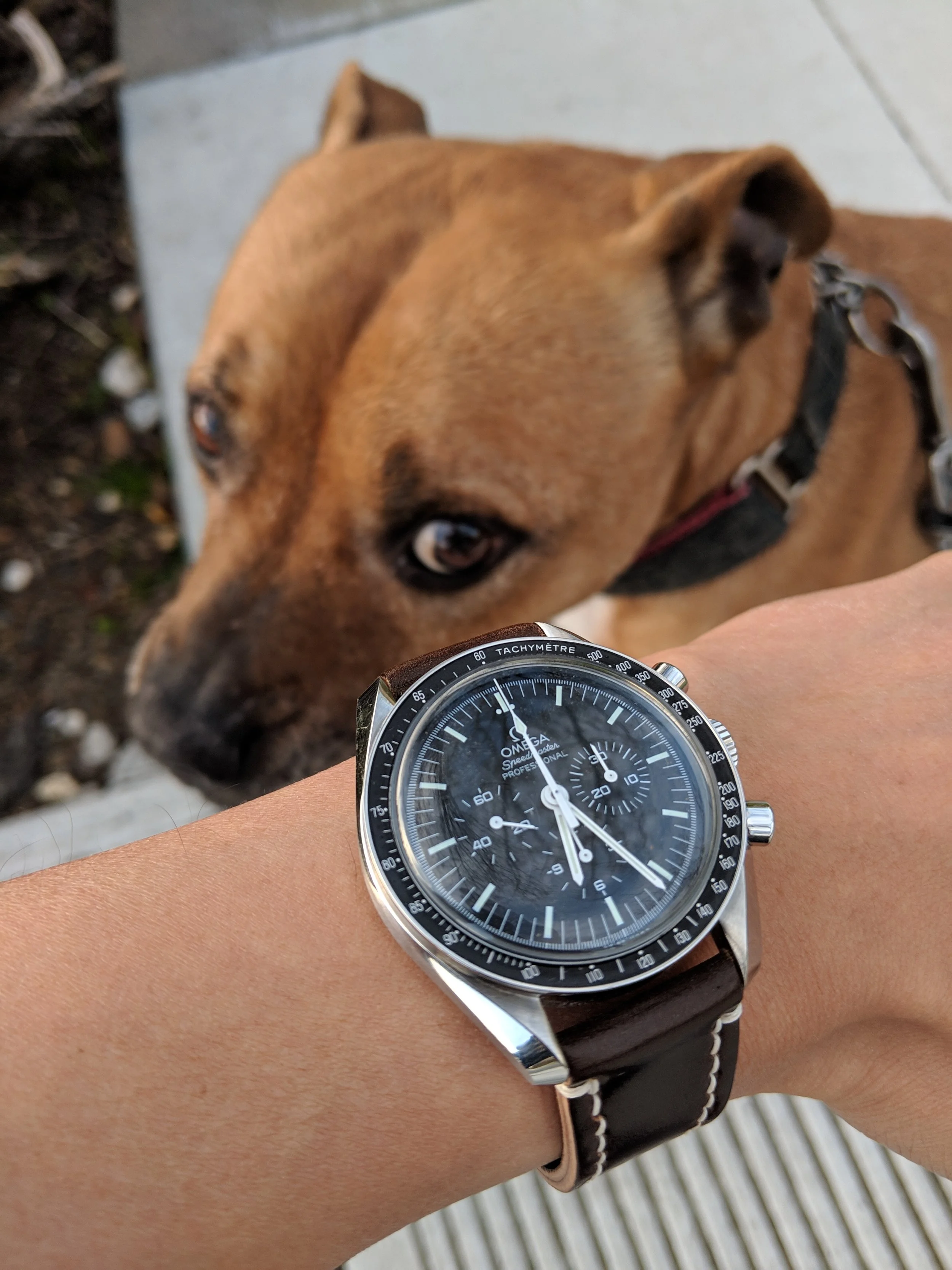 Speedy Pro on a No. 8 Arts & Crafts!