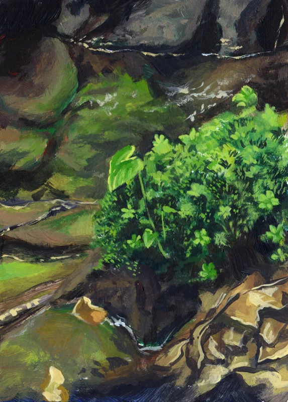 Green1.jpg