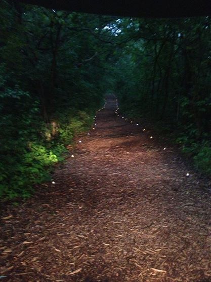 A sacred path beckons you...