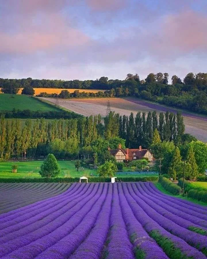 Provence
