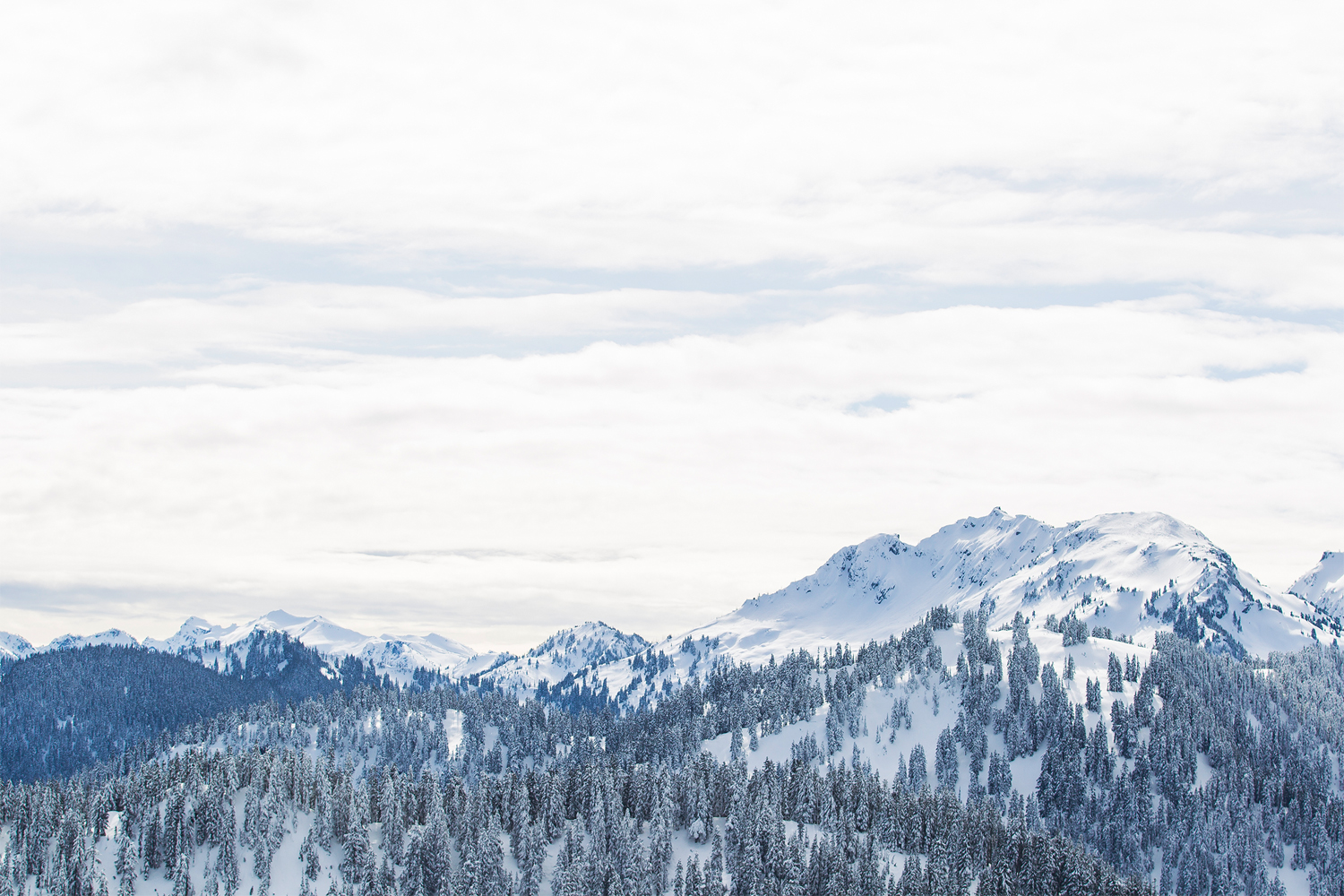 FEATURED WORK STEVENS PASS MOUNTAIN RESORT SOCIAL MEDIA SCAVENGER HUNT