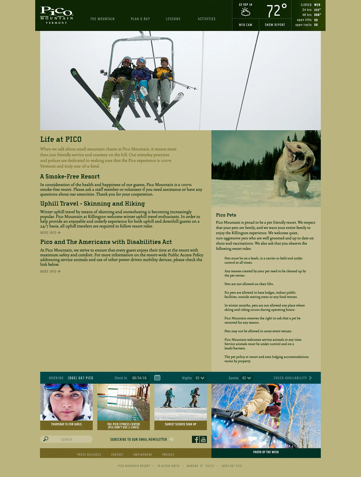 2-K-WEBSITES-PICO-LIFE.jpg