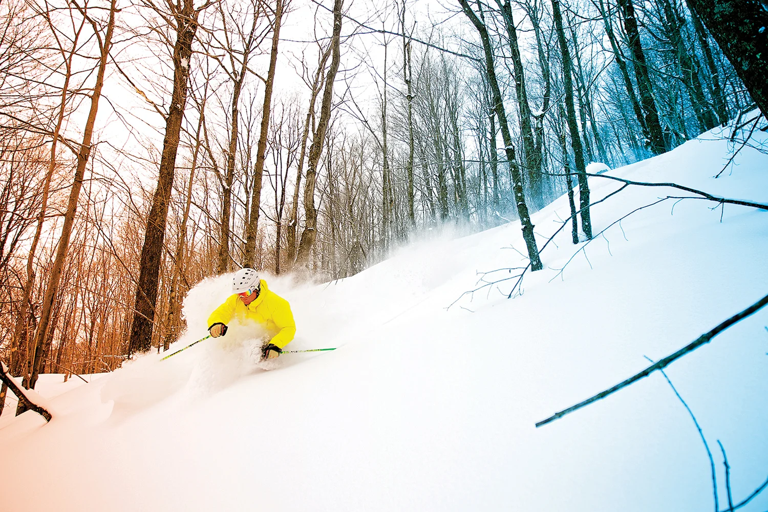 7-K-PHOTOGRAPHY-BACKWOODS.jpg