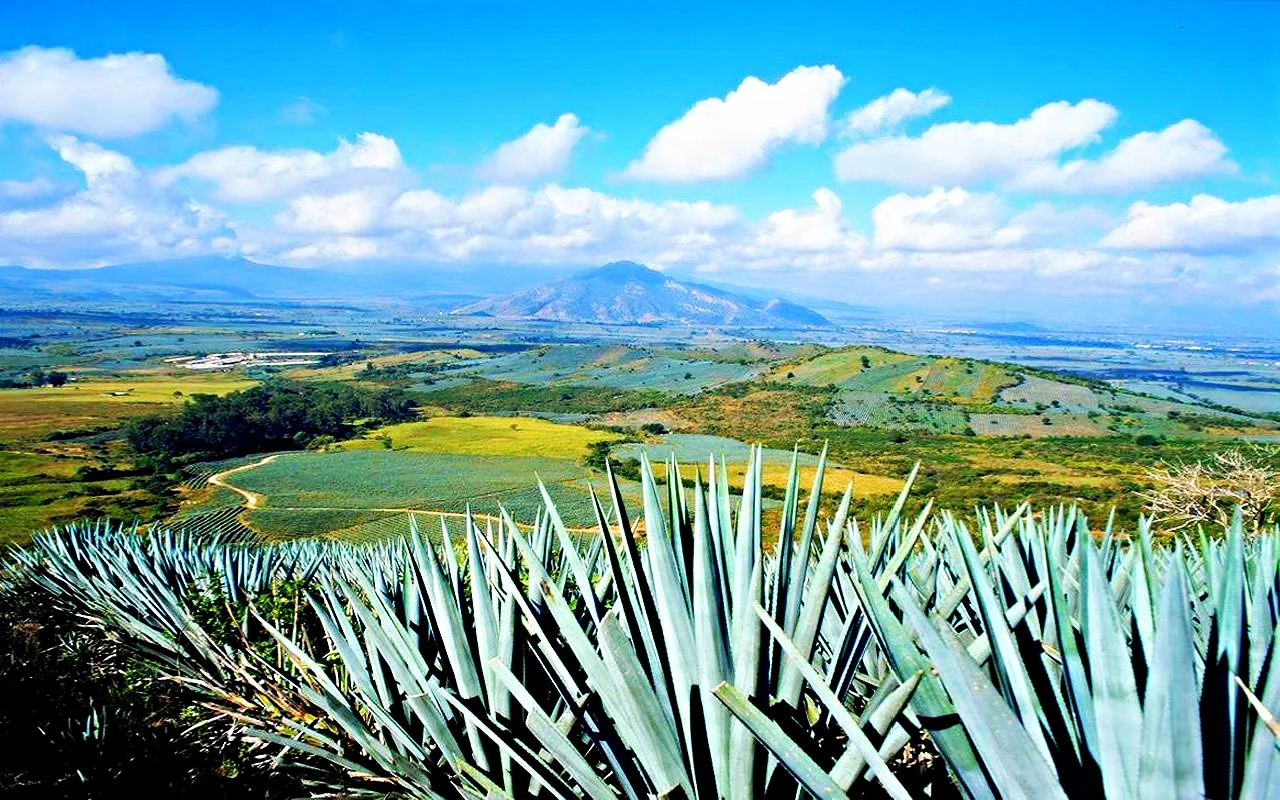 Tequila-Jalisco.jpg