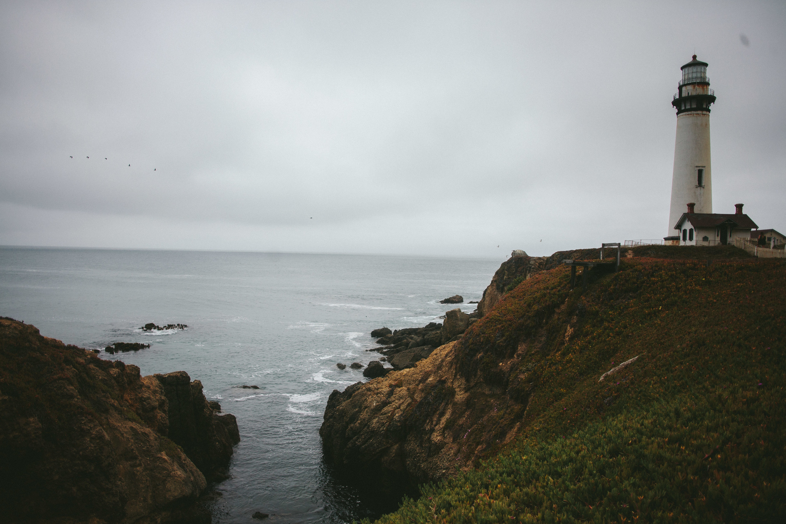 Pigeon Point Lighthouse, California