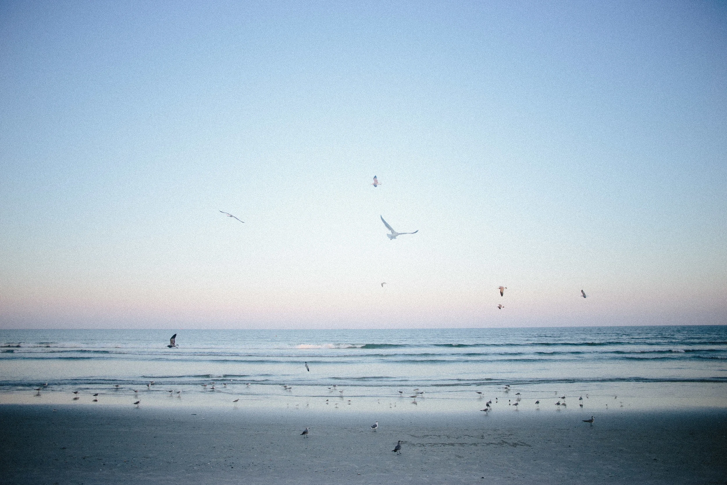 Forlorn in Florida-13.jpg