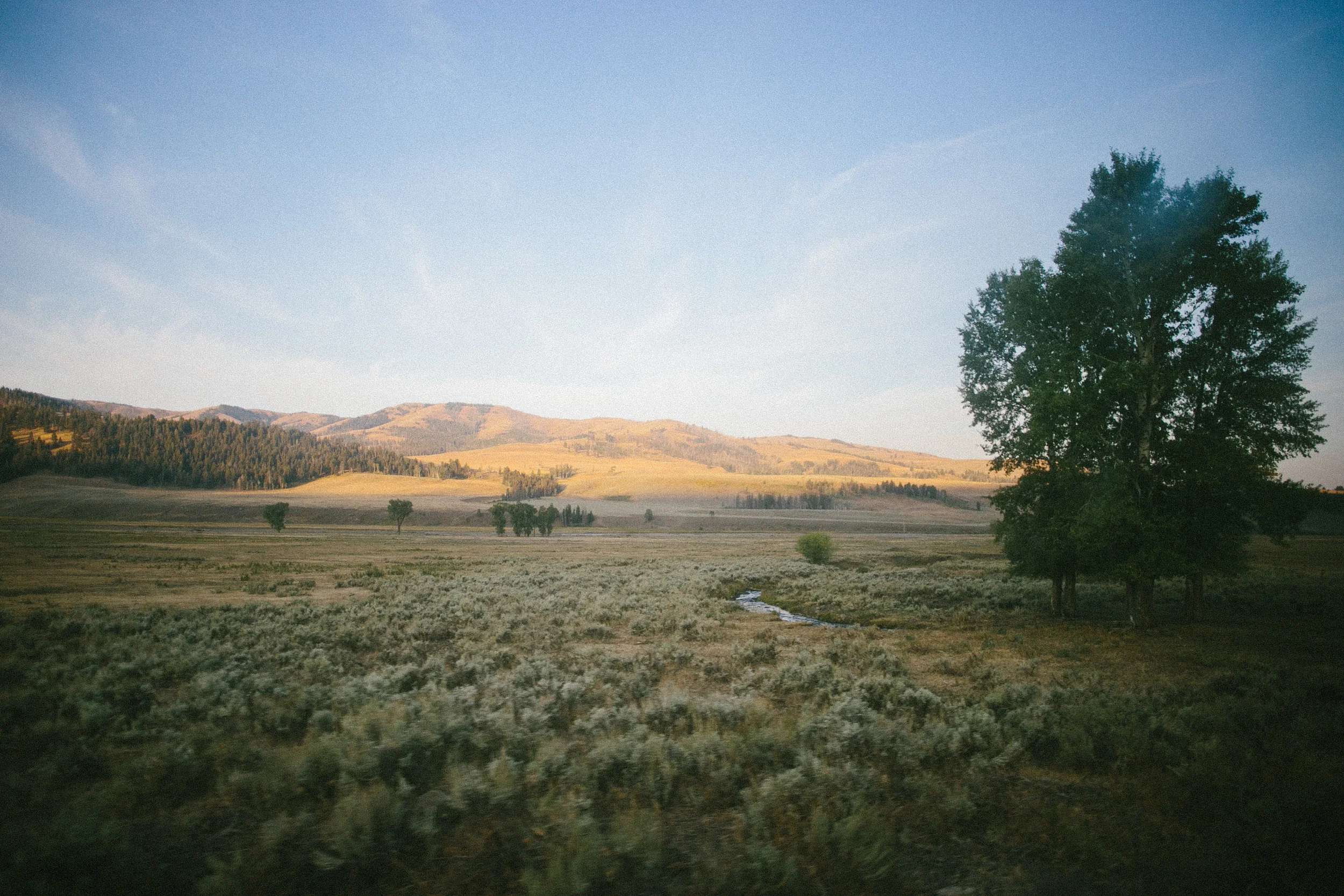 YELLOWSTONE-54.jpg