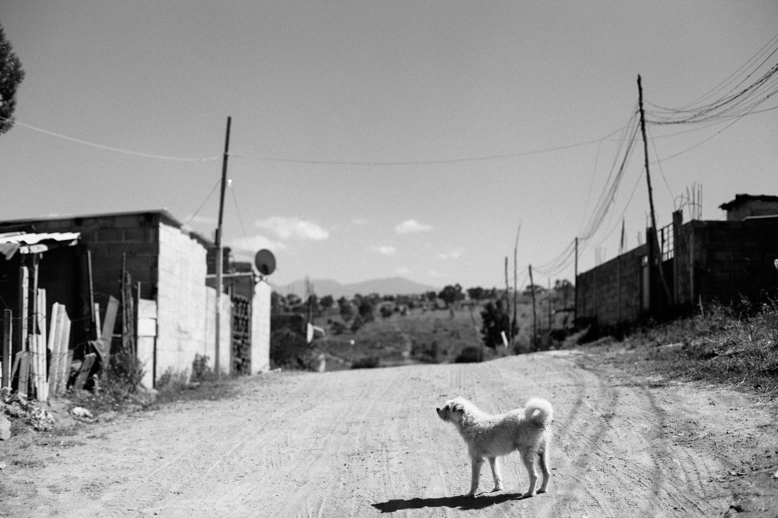 Guate and Mex-148.jpg