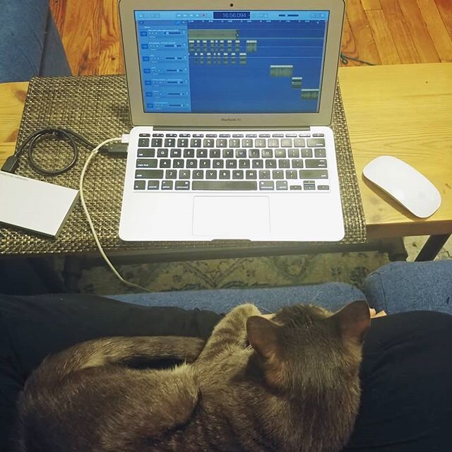What editing at 11pm looked like last night. Preparing the final episode of this season with a cat in my lap. How is that for &quot;what does your home studio look like.&quot;
Stay tuned. 🎧
.
.
.
#podcast #podcastinglife #homestudio #latenightwork #