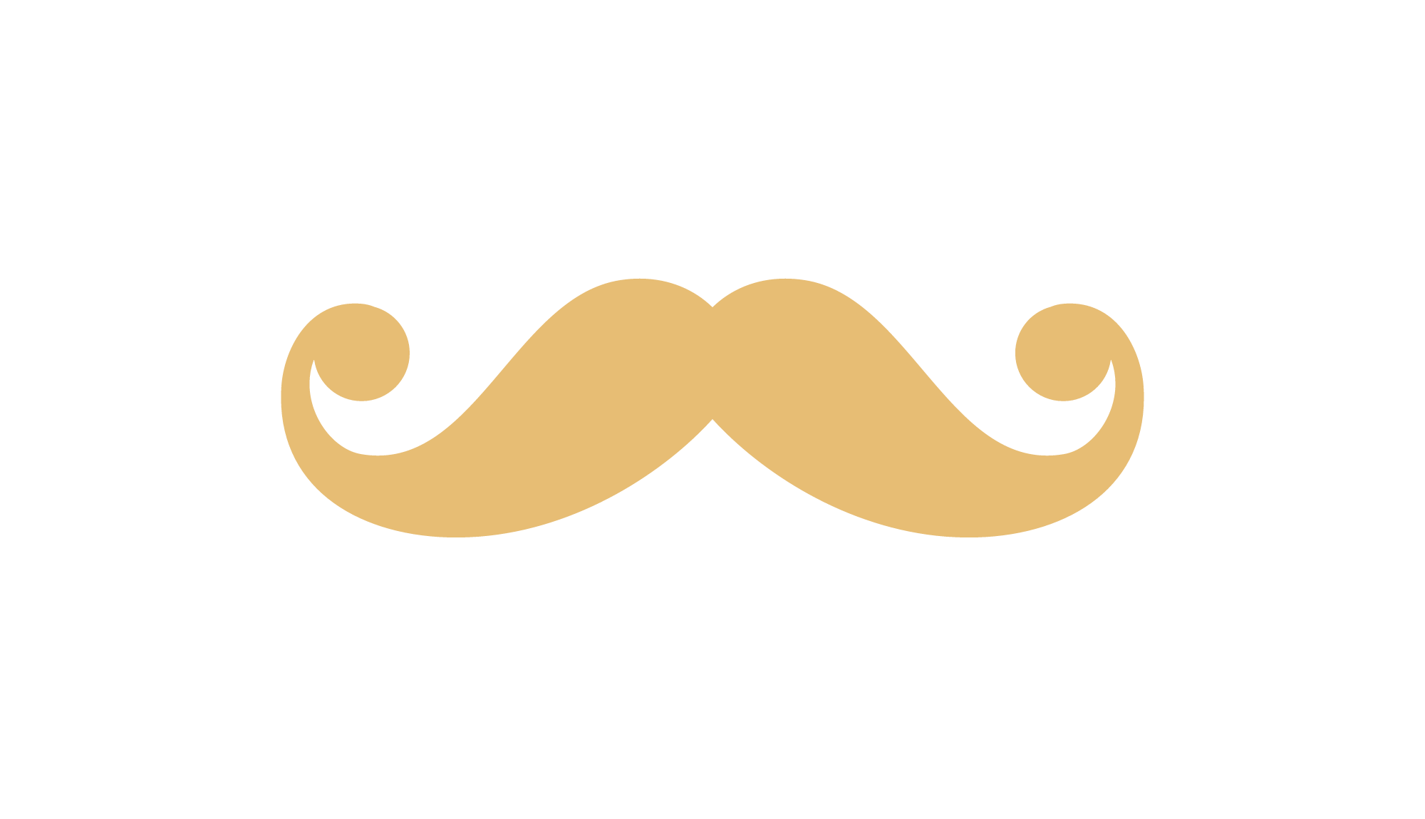 logo.png