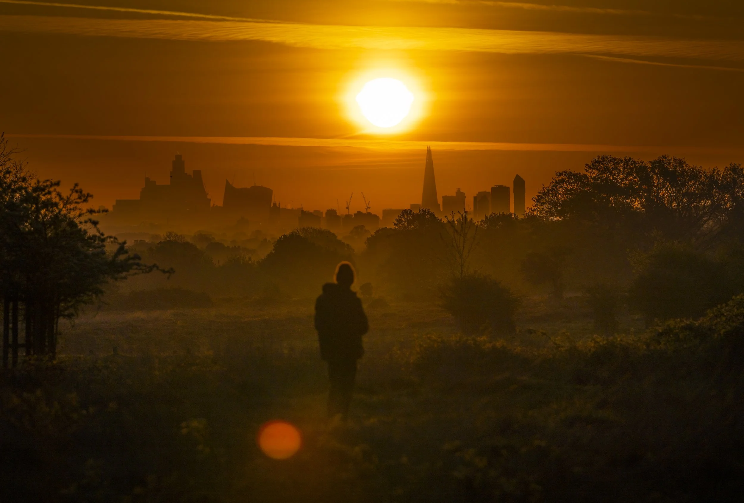 A visitor to Richmond Park watches as the sun rises over central London on May 3, 2023.