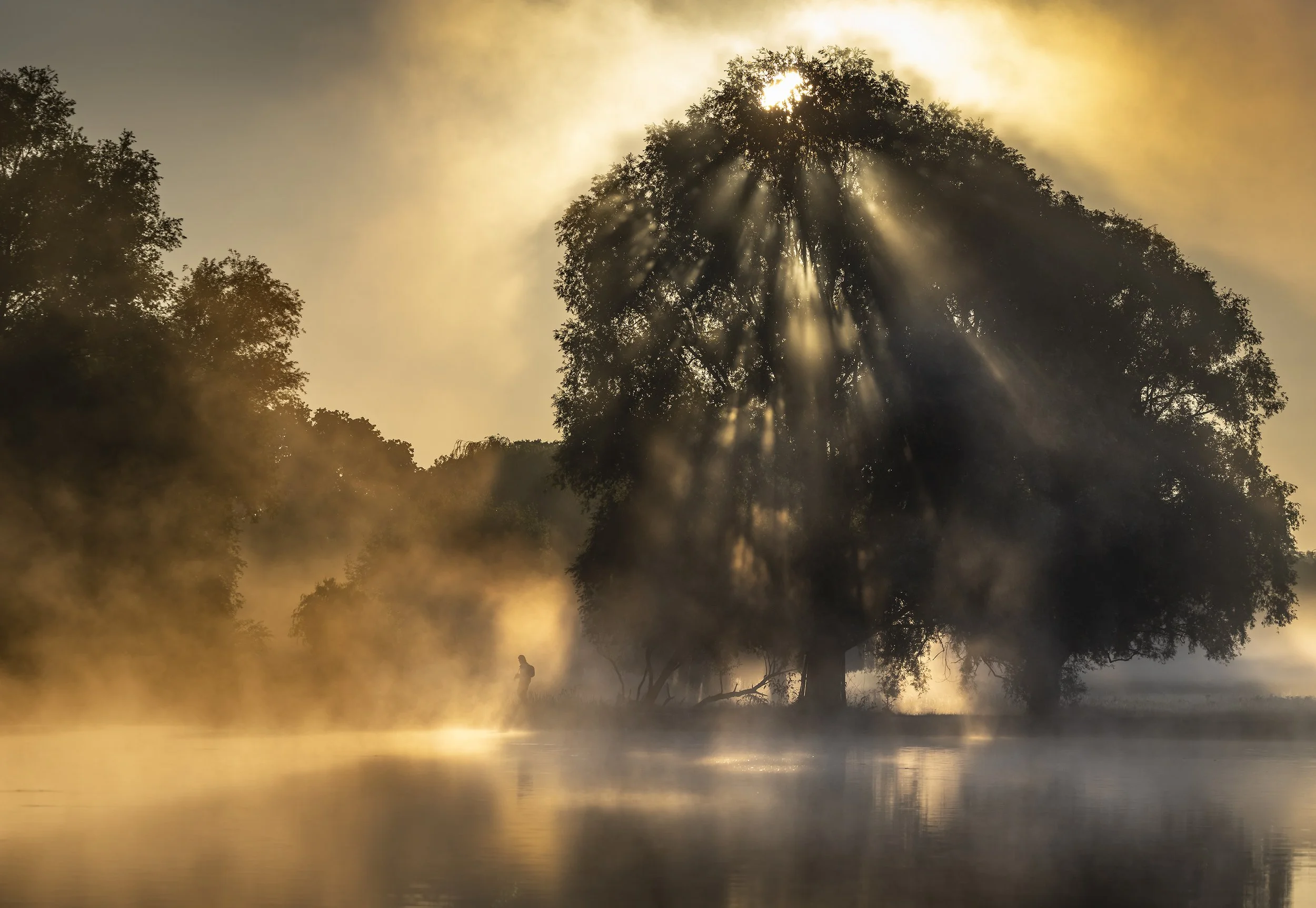 A visitor walks round Leg of Mutton Pond during a misty sunrise in Bushy Park south west of London on August 10, 2023.