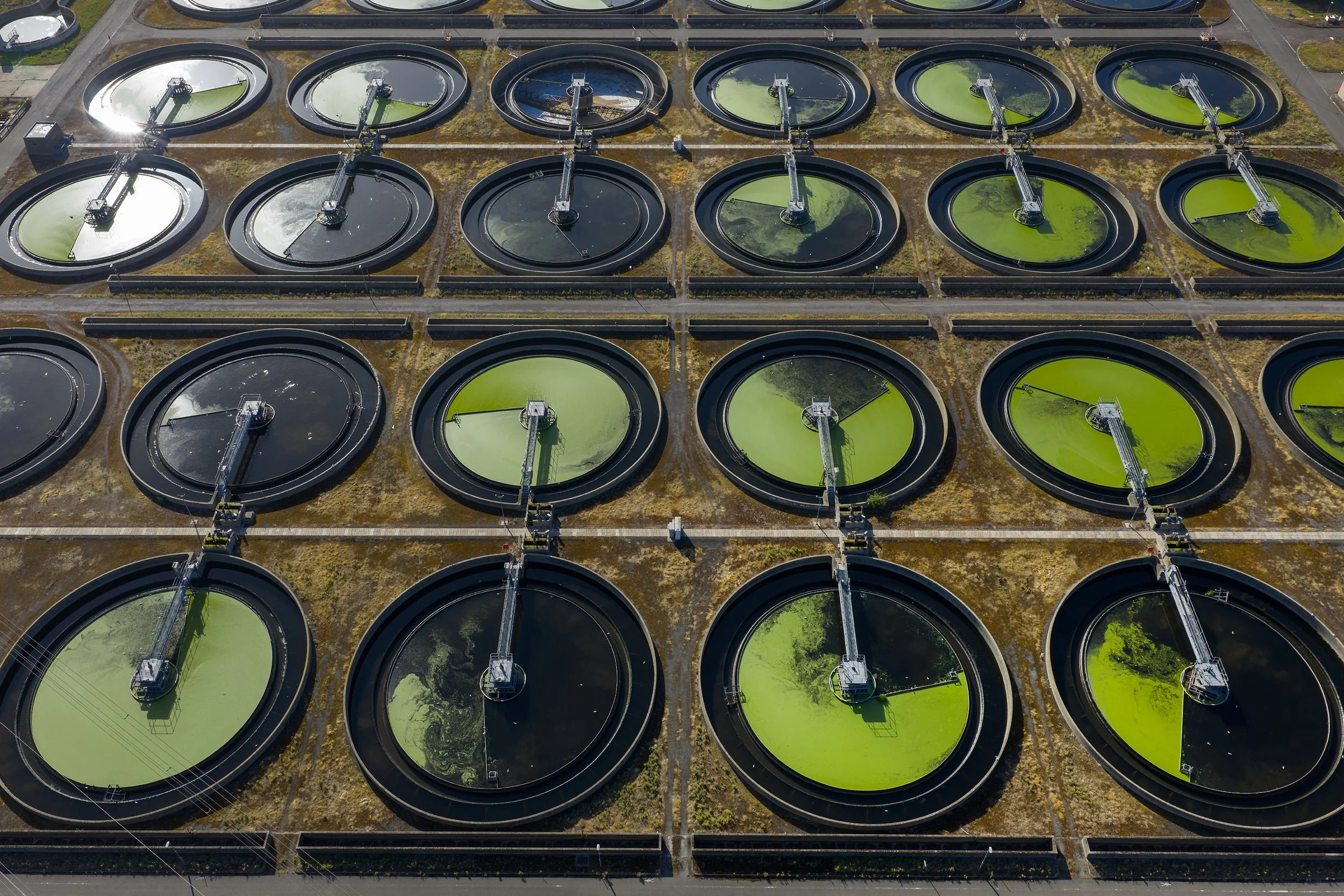 Algae forms in the settling tanks at Thames Water's Sewage Treatment Works in Beckton, east London - the largest in the UK. The utility is trying to avoid bankruptcy on August 31, 2025.