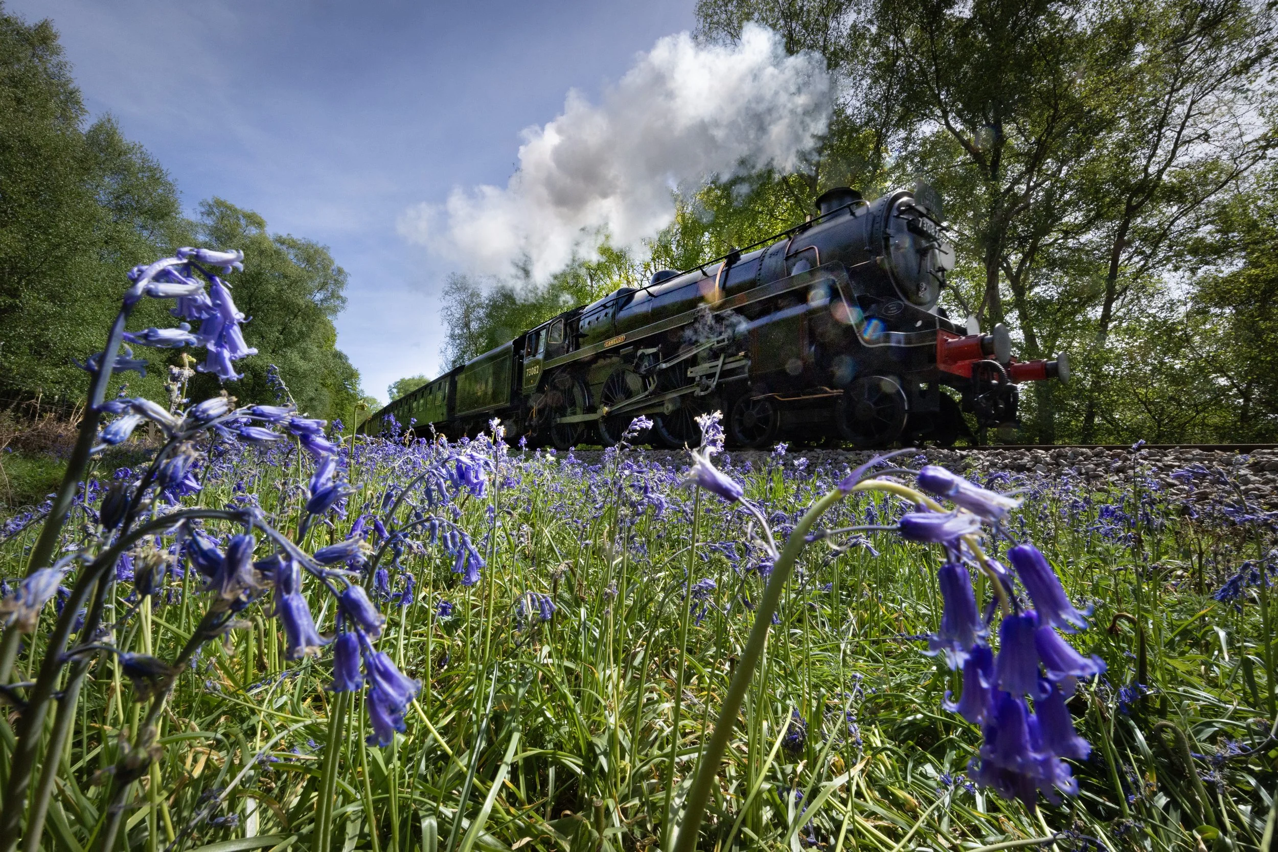 The 2:15pm from Sheffield Park to East Grinstead steams past bluebells growing trackside on The Bluebell Railway, East Sussex on April 29, 2026