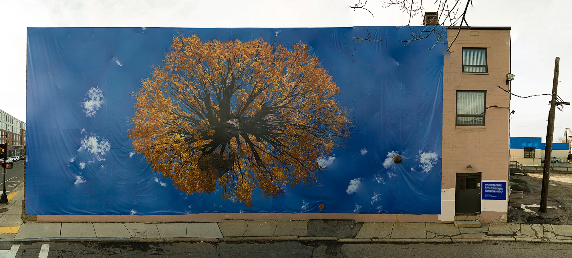 Yellow Tree Mural