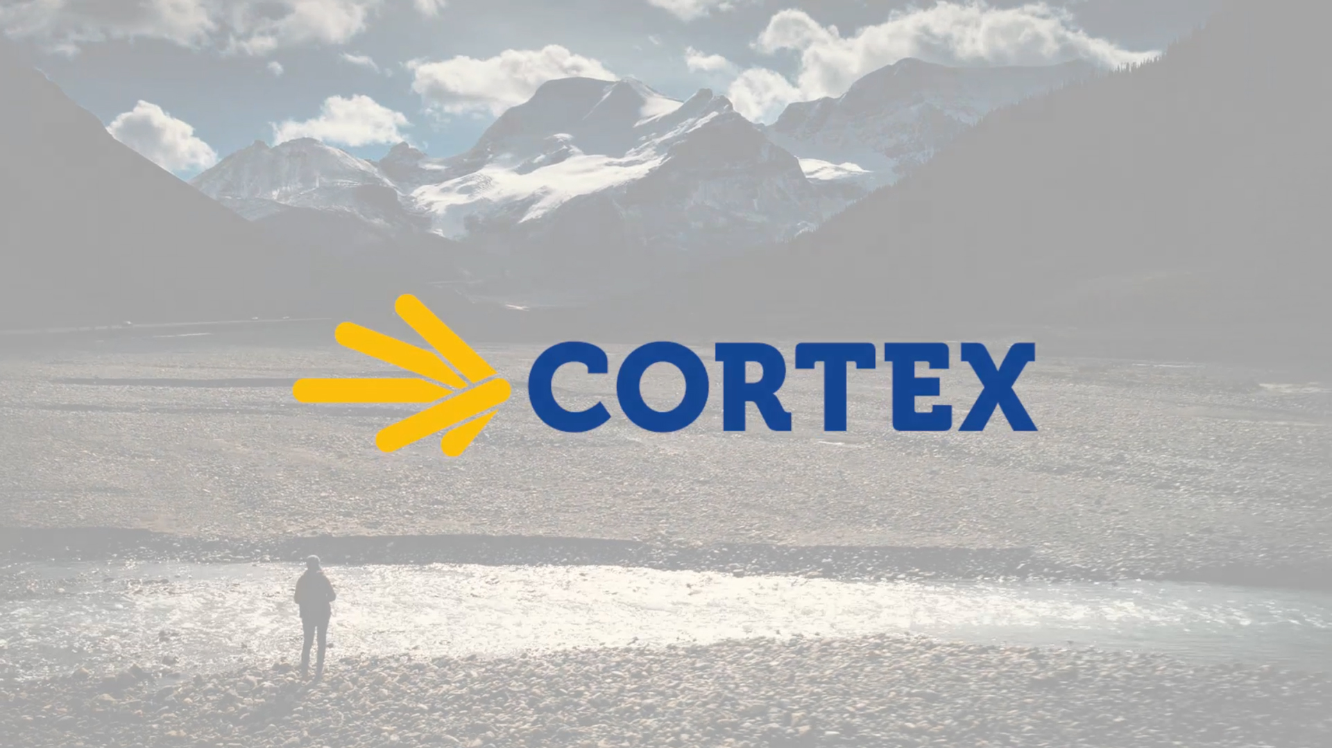 Meet Cortex 2019, Edit.