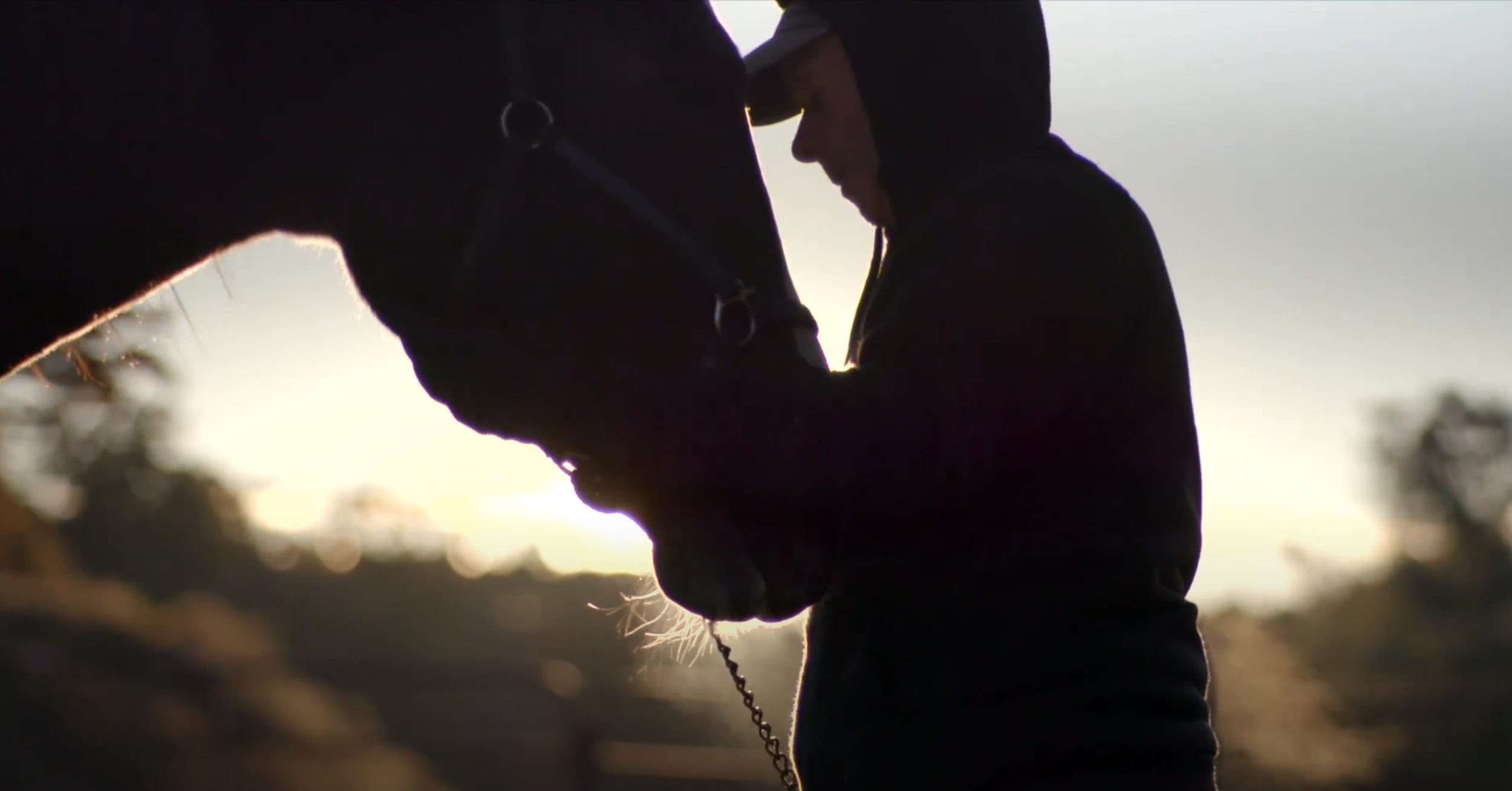 HHANE, B-Cam Operator 2021.  Dir. John Doucet, Edit Jean Dunoyer. Camera: Nick Kolinski.
