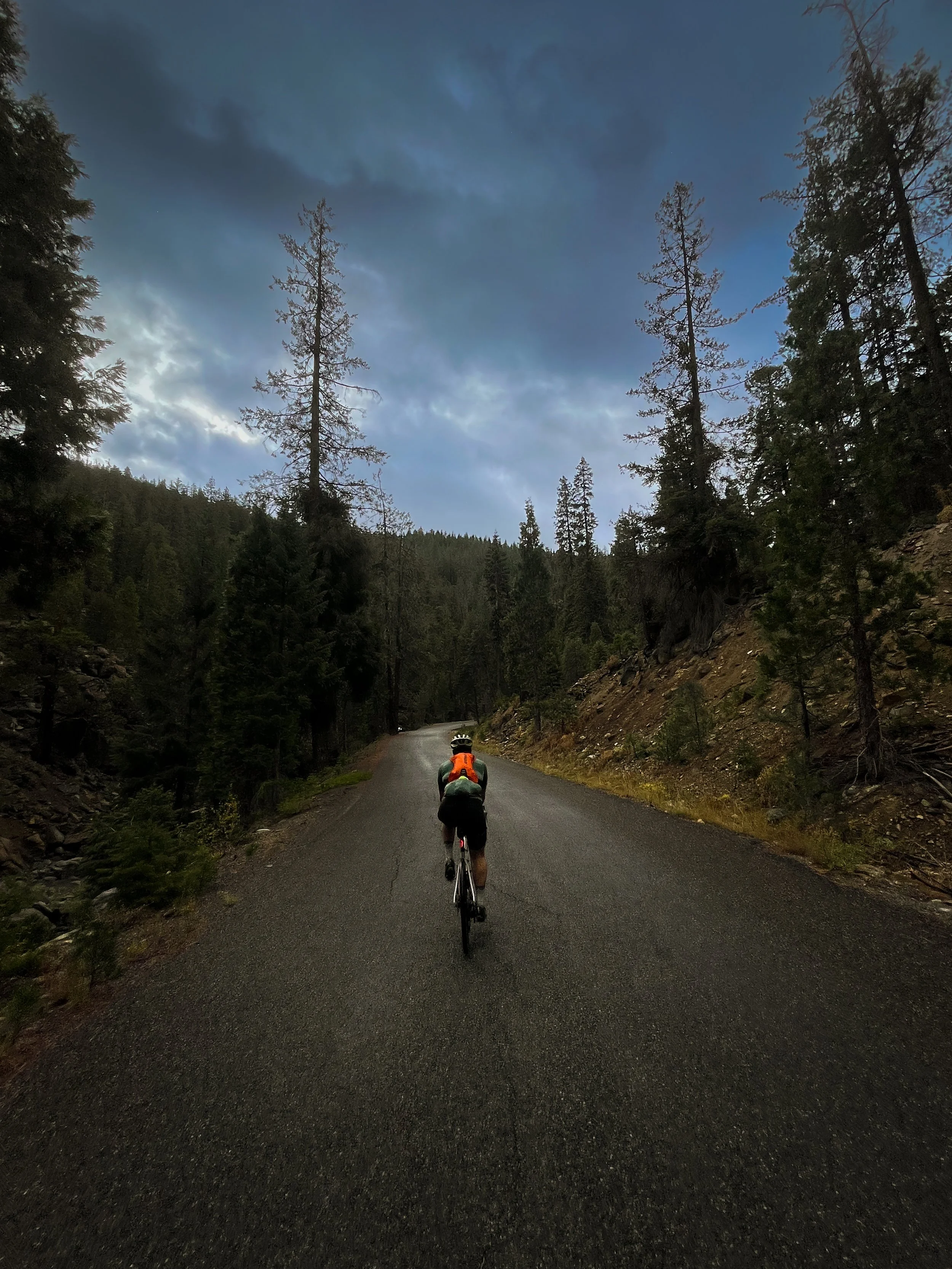 A person riding a bicycle on a mountain road surrounded by tall trees, with a cloudy sky overhead.