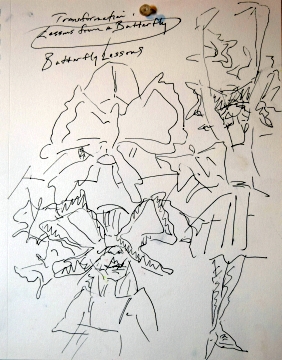 A simple loosening up sketch for Butterfly Lessons
