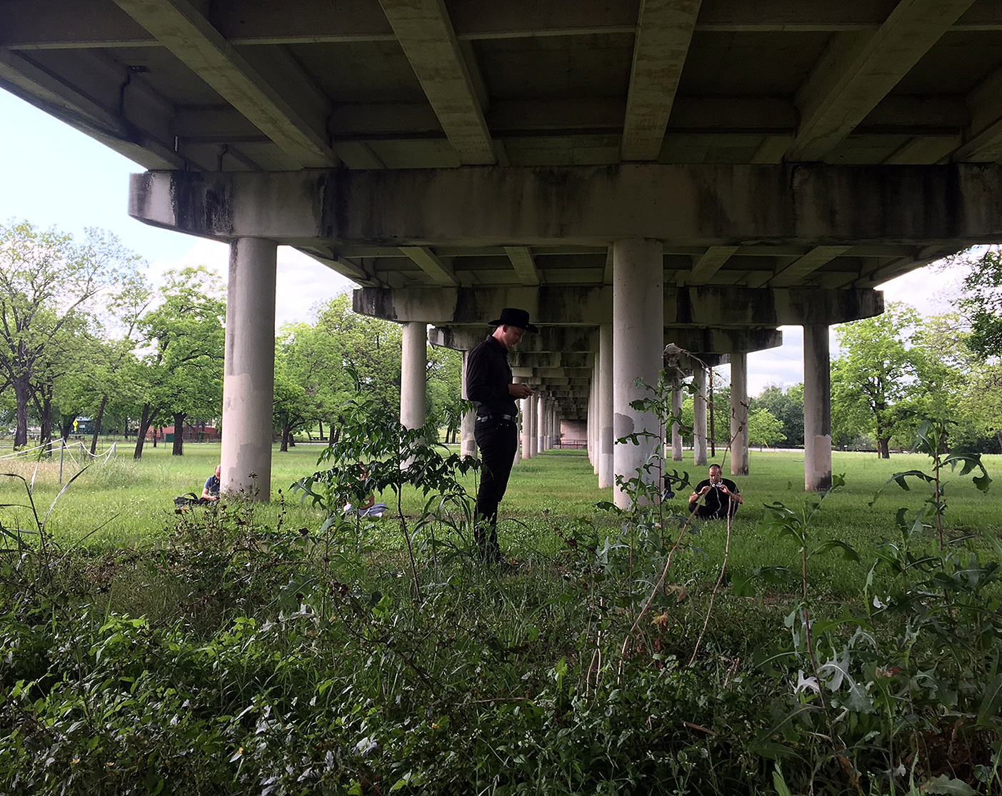Basking in reverberations under the bridge.