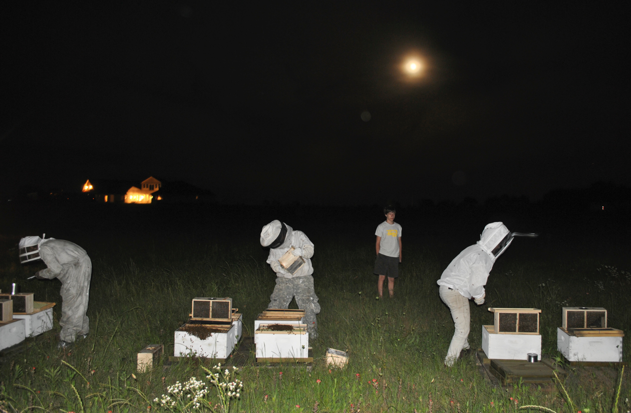 We now have 300,000 bees living at the back of our land. Another example of the goodness and danger of this earth. Honey is sweet, and the bee has a sting.