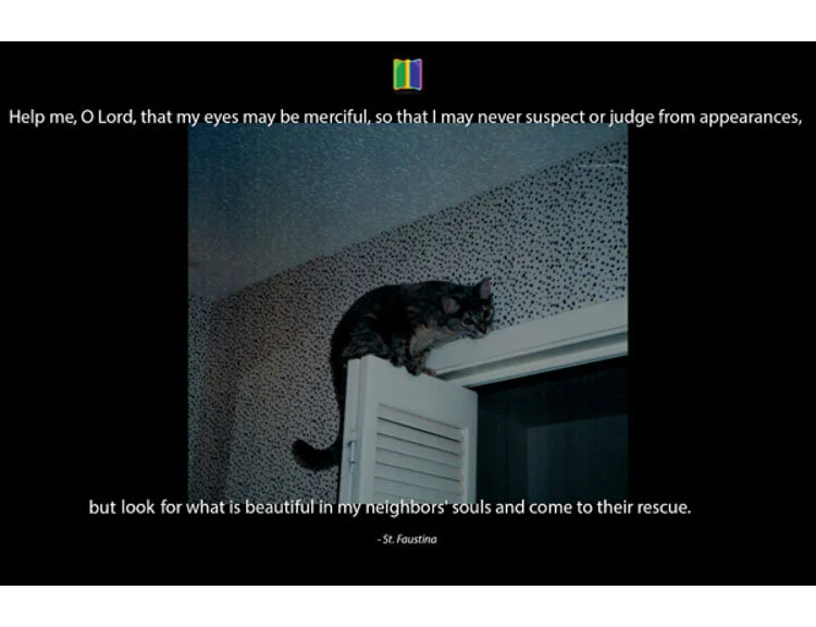 Door of the Day #255 Quotation from: St. Faustina - From "Divine Mercy in My Soul: The Diary of Saint Maria Faustina Kowalska" Photo: Linda Fulmer - Daphne on the door Originally created for Wittenberg 2017