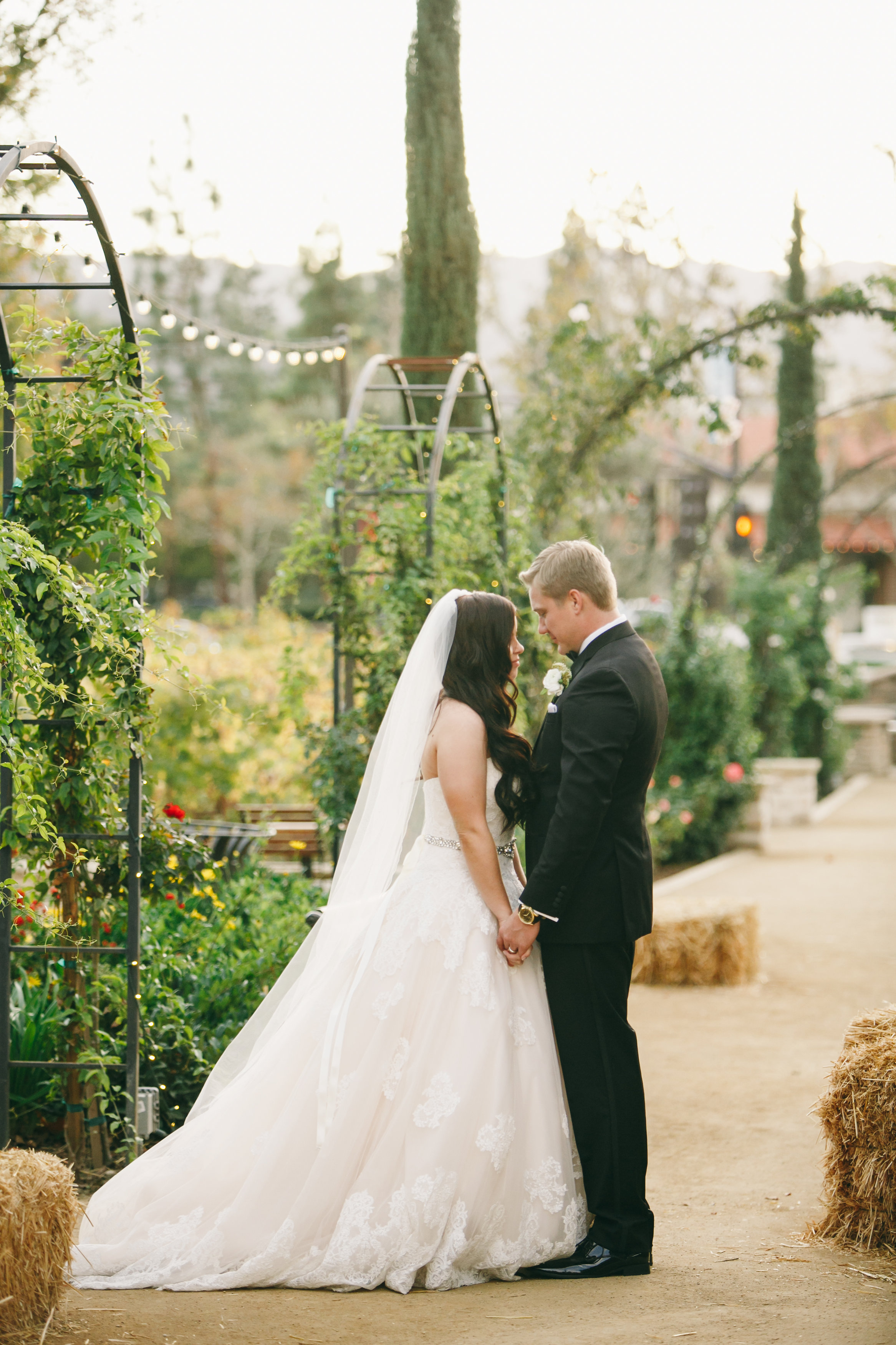 VanDykeWedding-3326.jpg