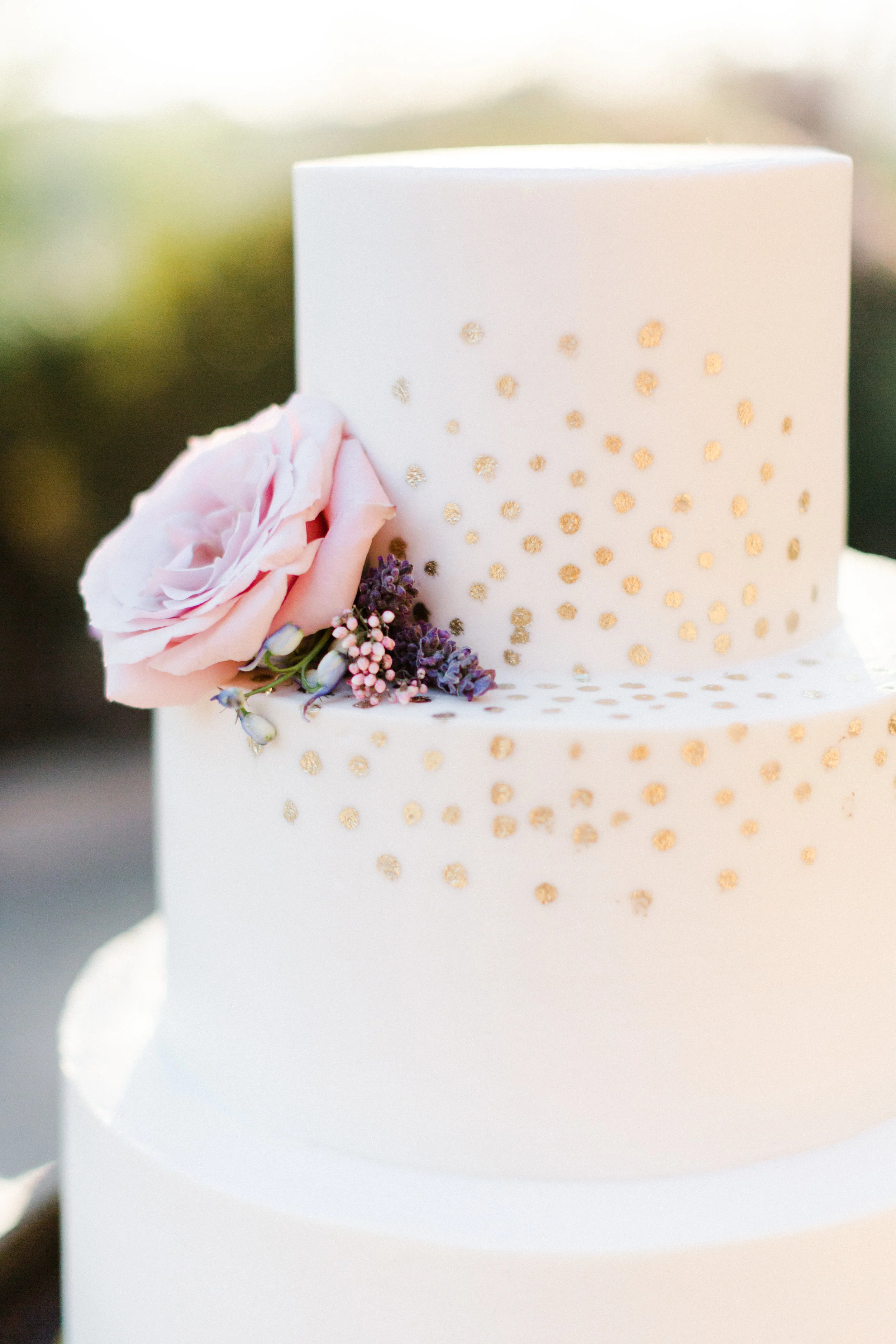 Anna Delores Photography_Cat & Monte 08.05.17-740.jpg
