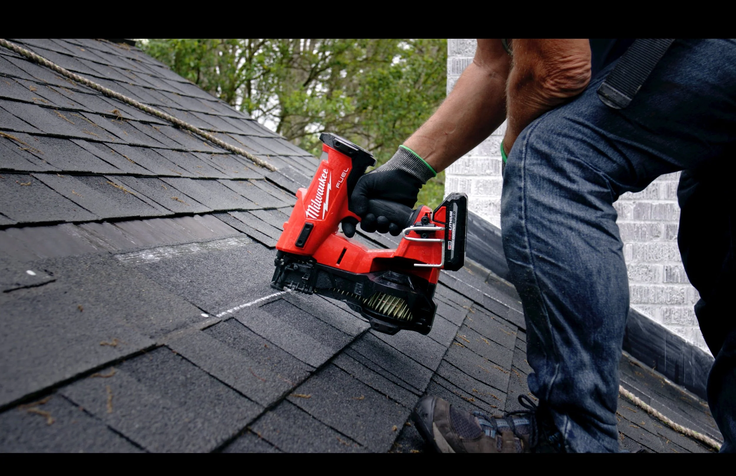 thumb.jpg