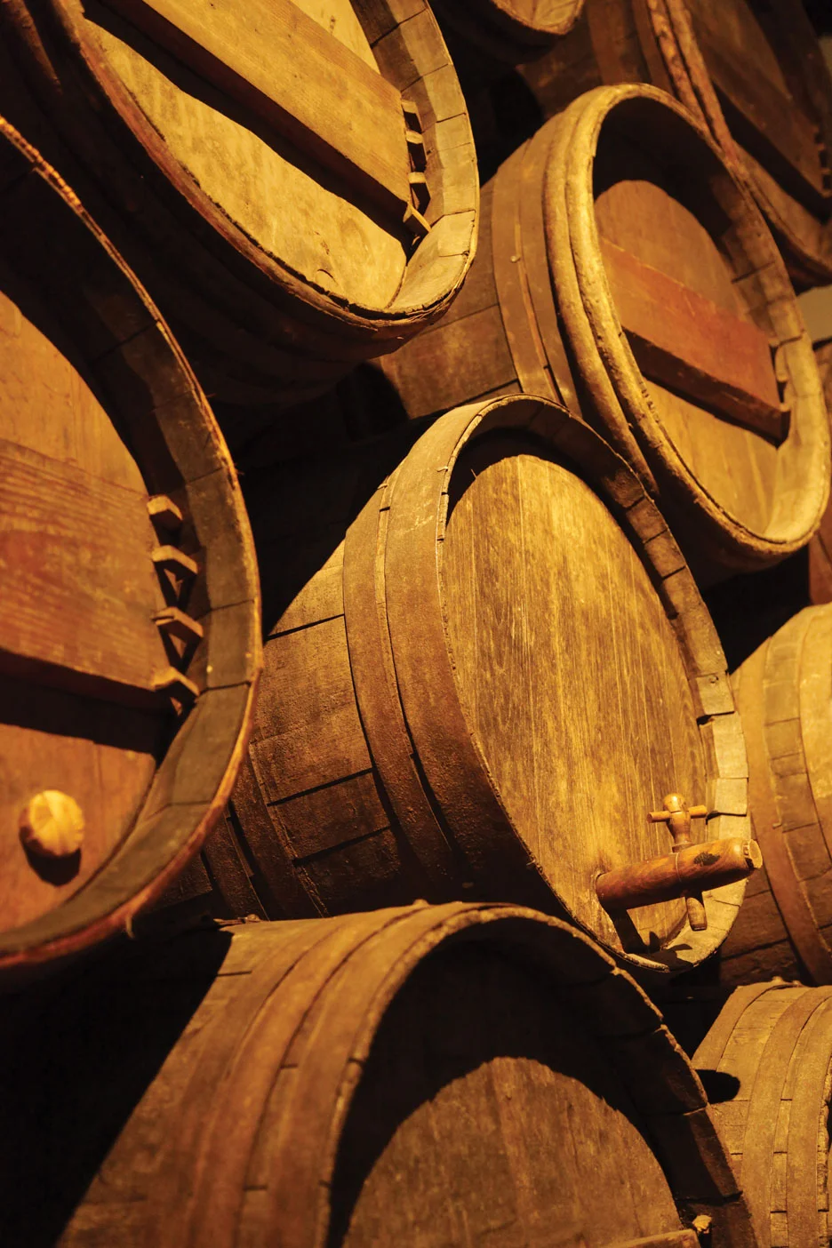 Bordeaux_Tonneaux.jpg