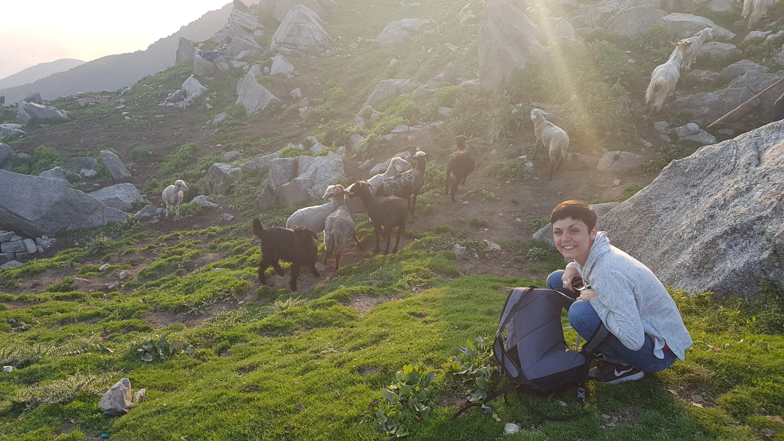Y50DharamTriund8.jpg