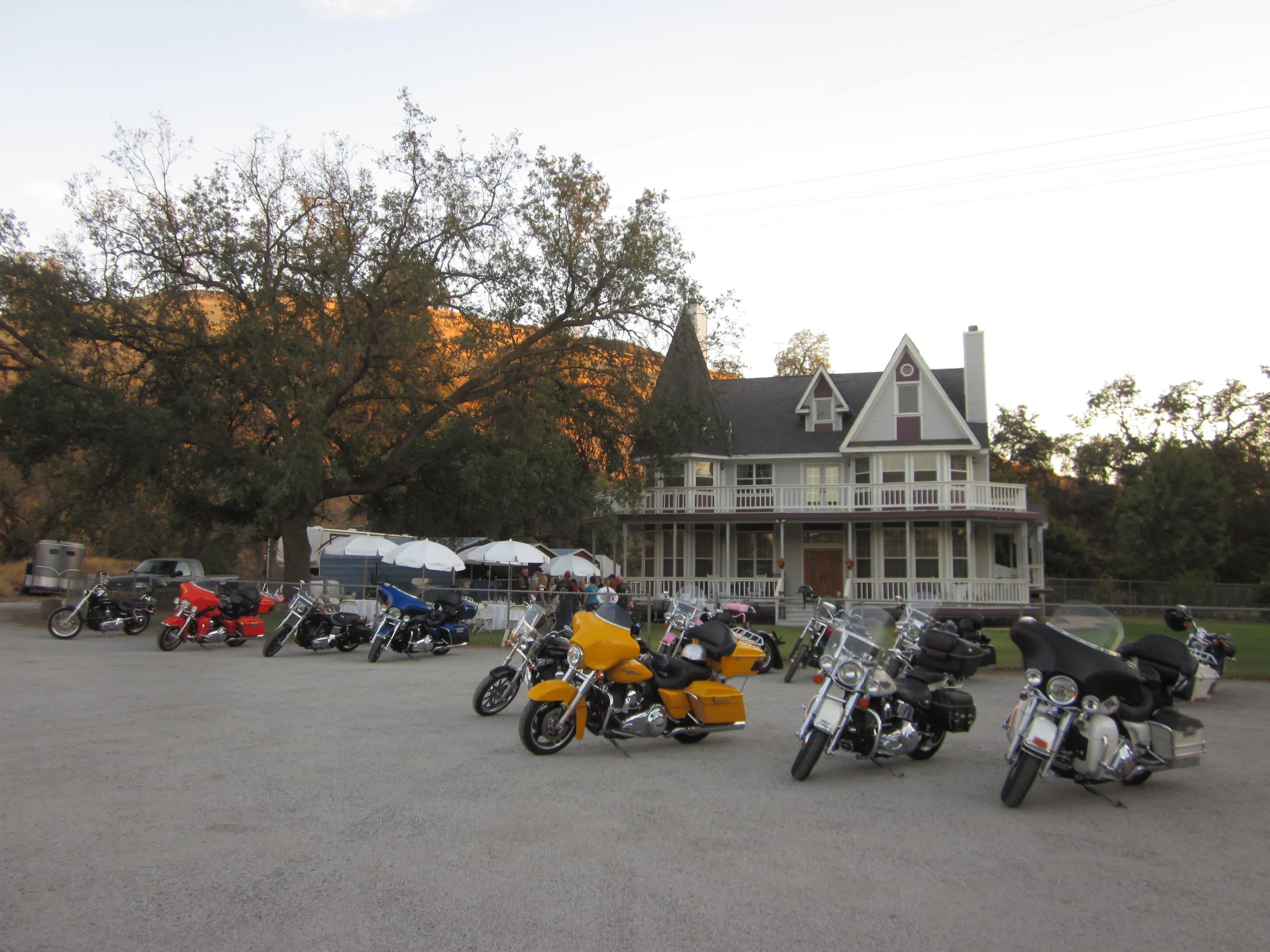 IMG_5490.JPG