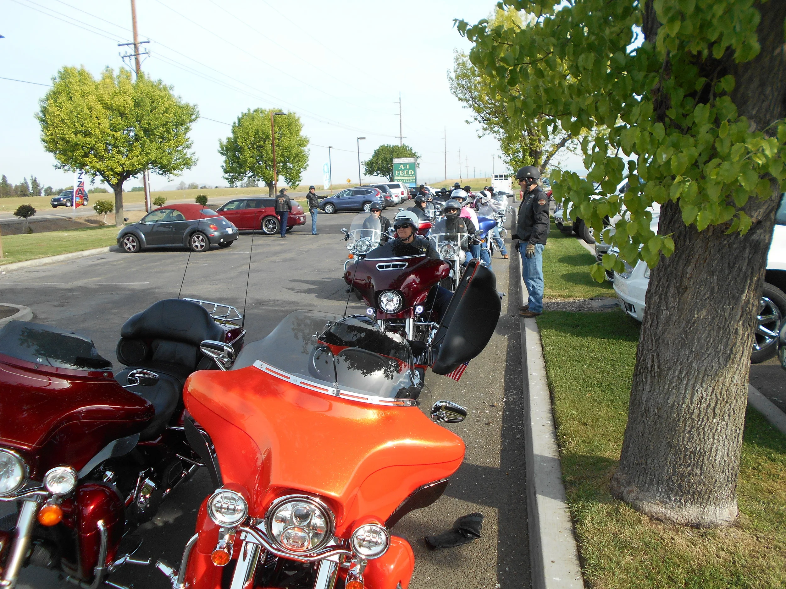DSCN3393.JPG