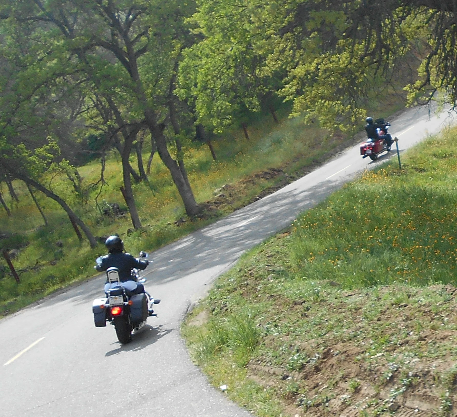 DSCN3466A.jpg