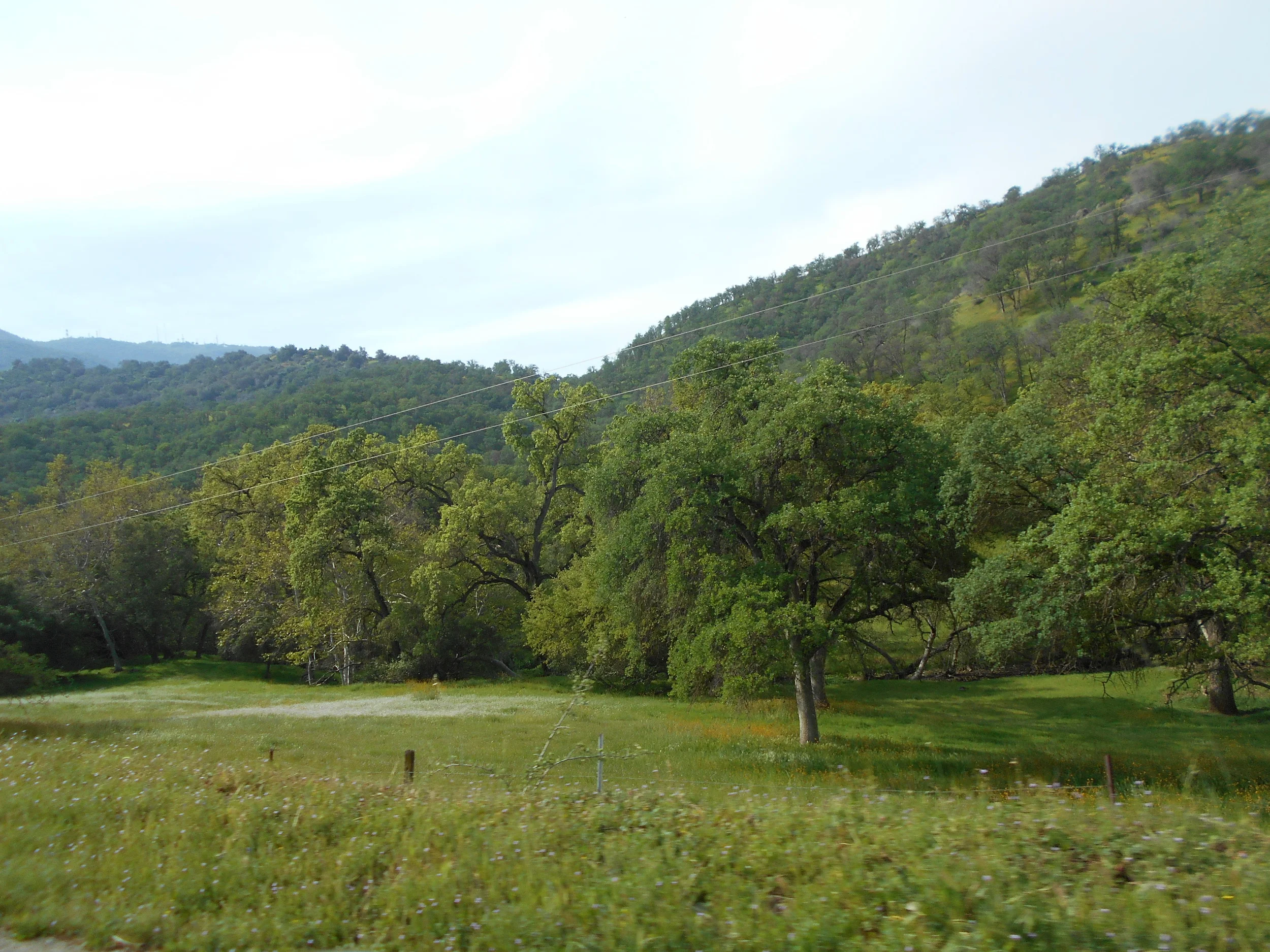 DSCN3464.JPG
