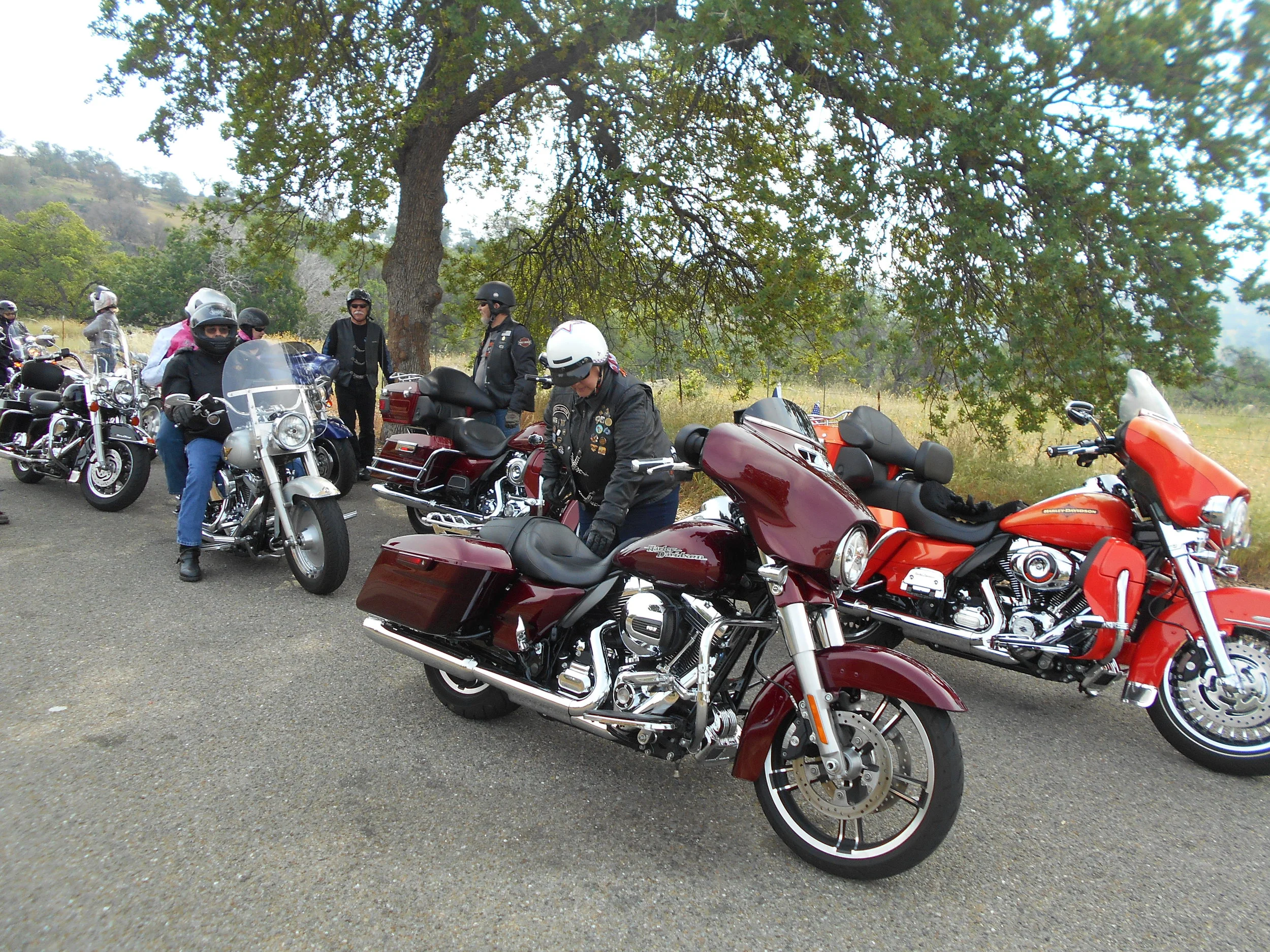 DSCN3473.JPG