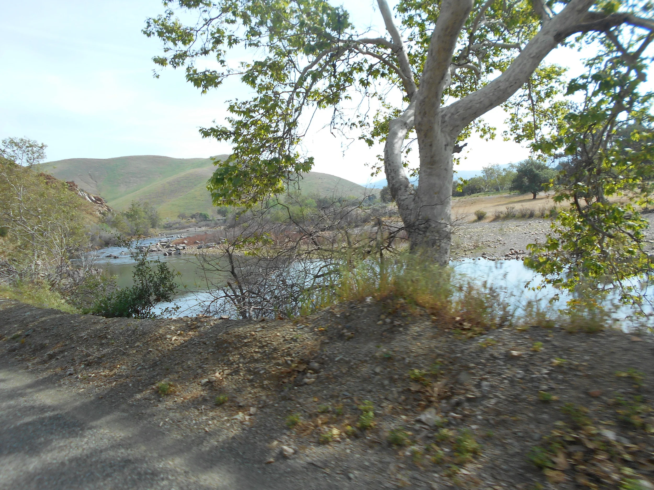 DSCN3433.JPG